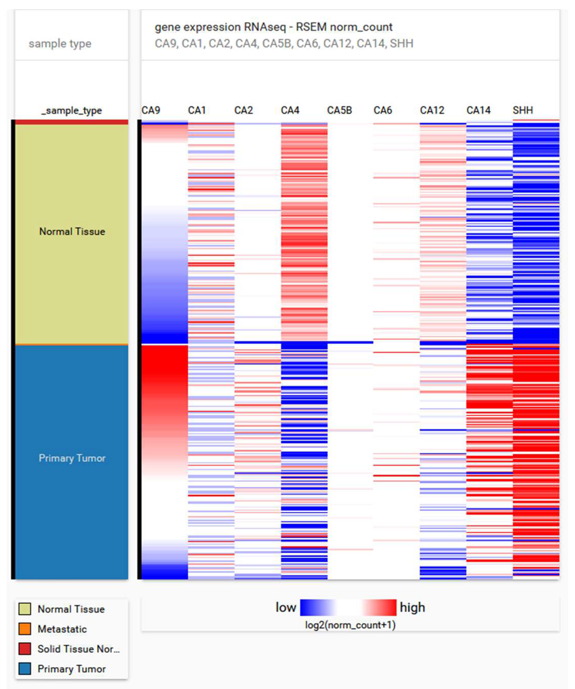 Cancers 12 02005 g001