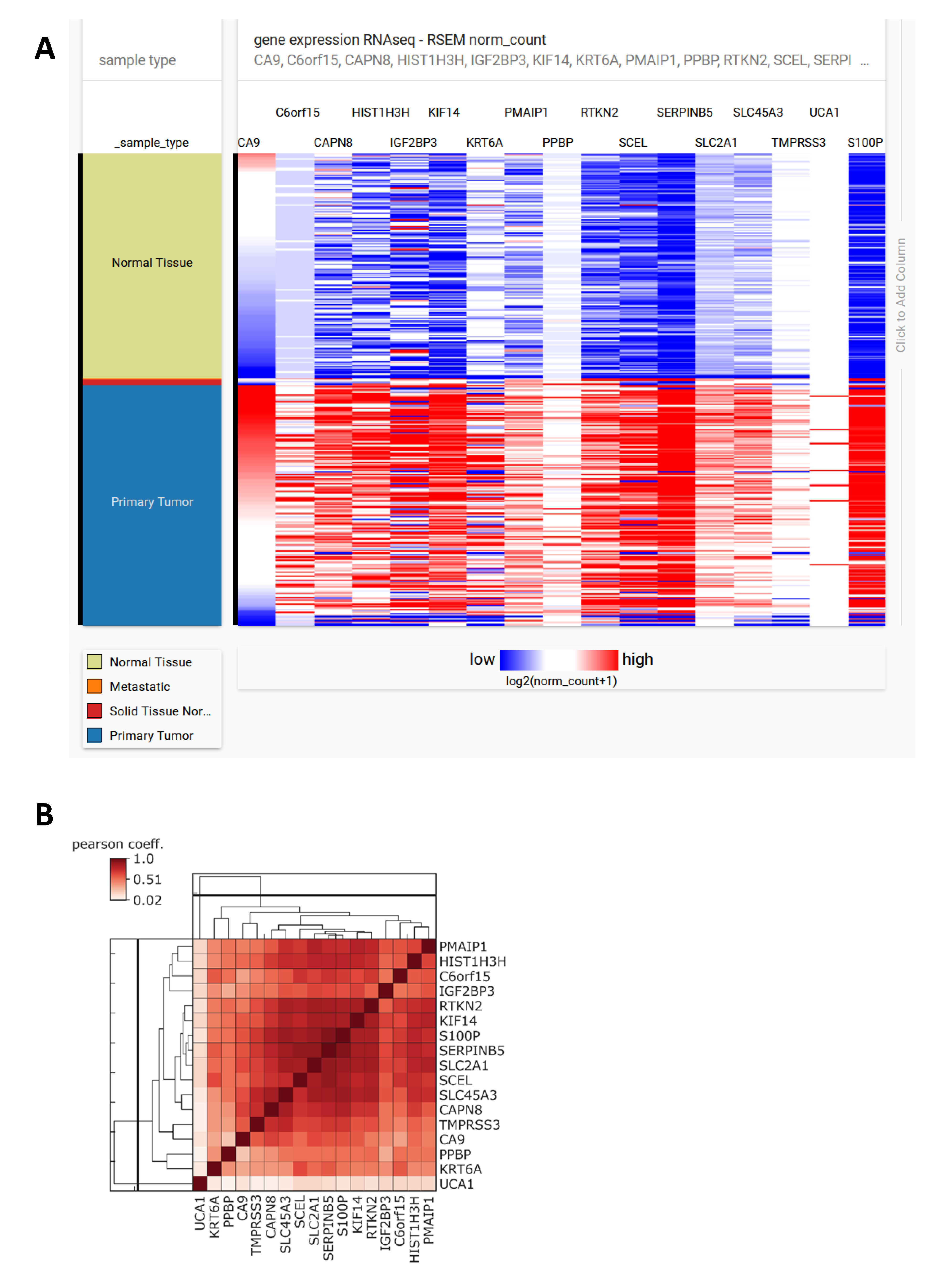 Cancers 12 02005 g004