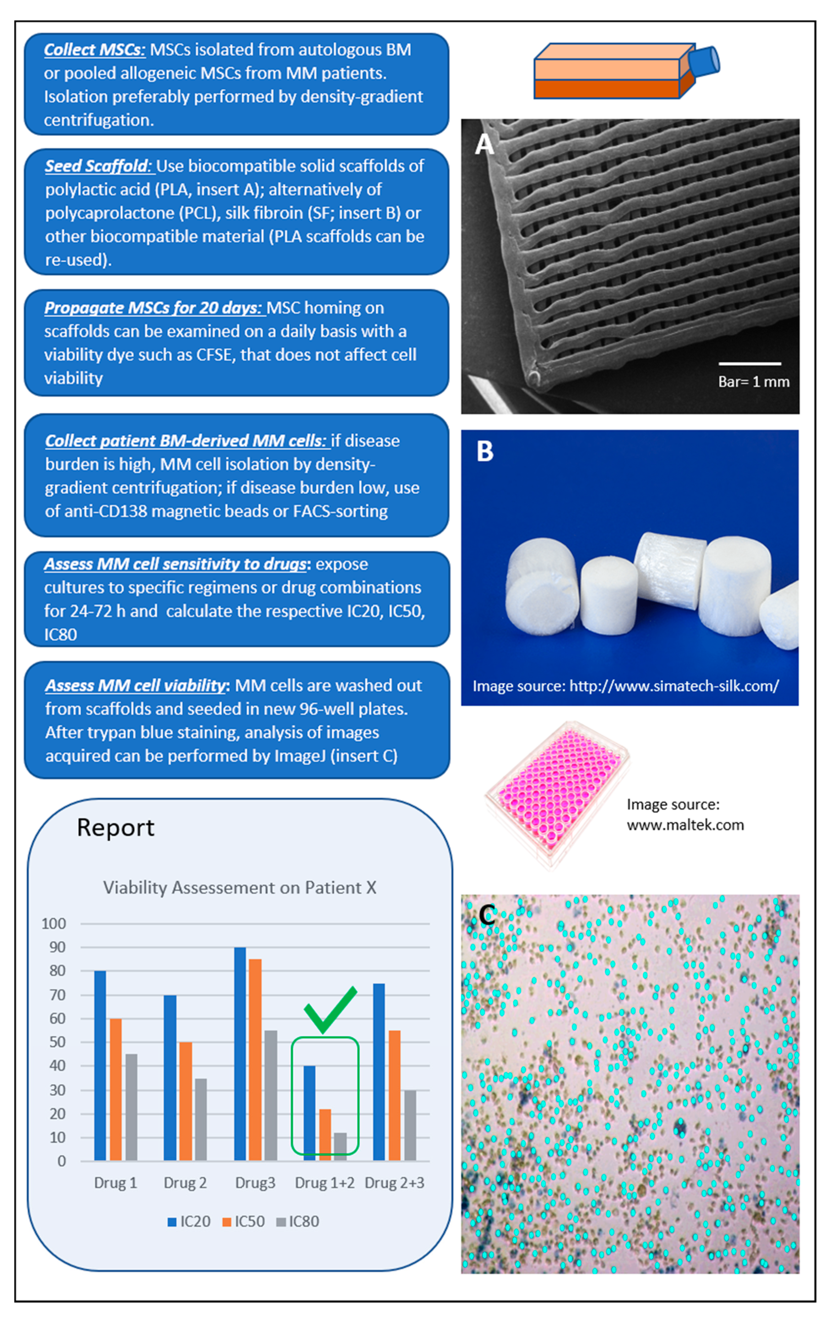 Cancers 12 02006 g002