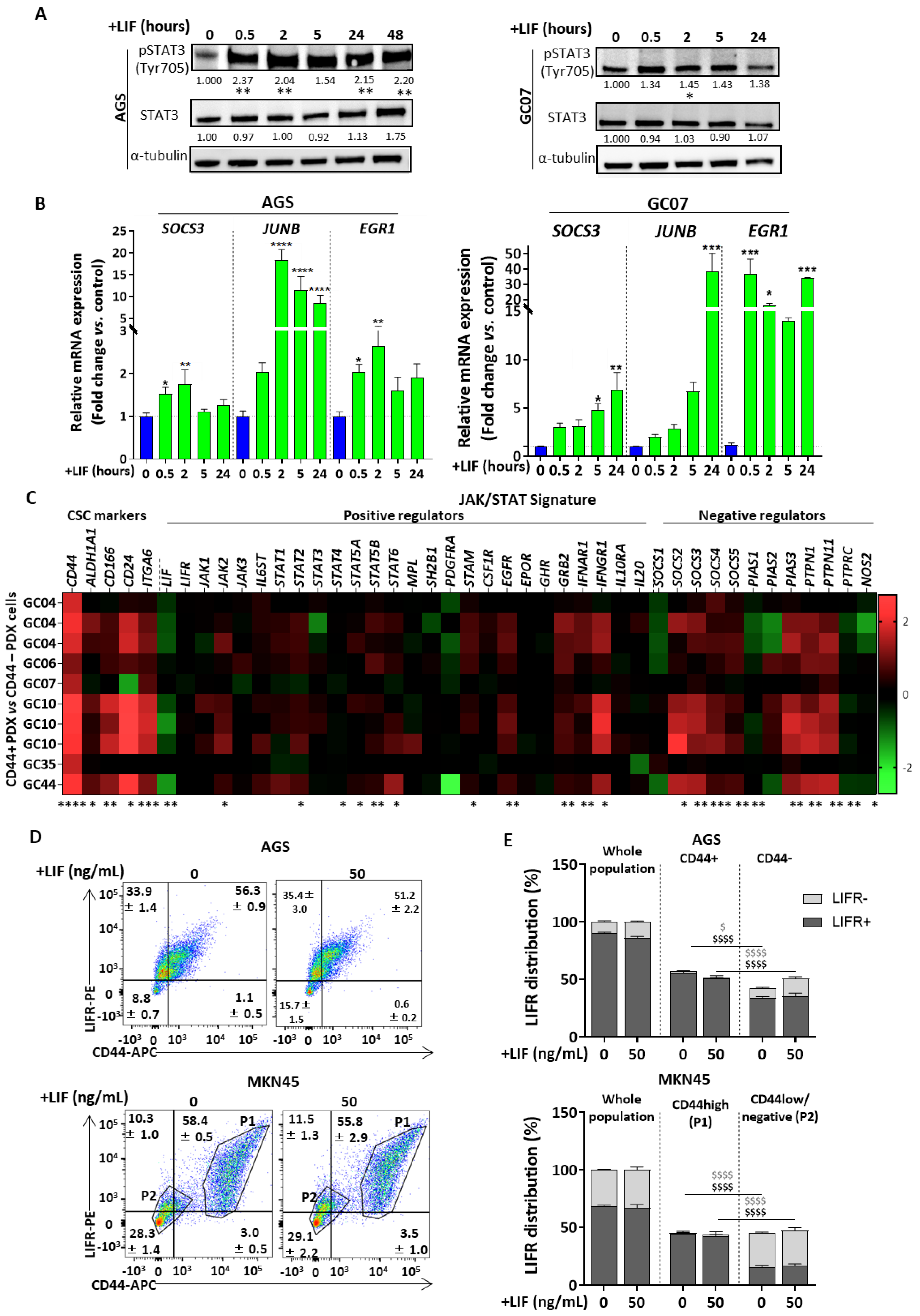Cancers 12 02011 g001 Cancers 12 02011 g001