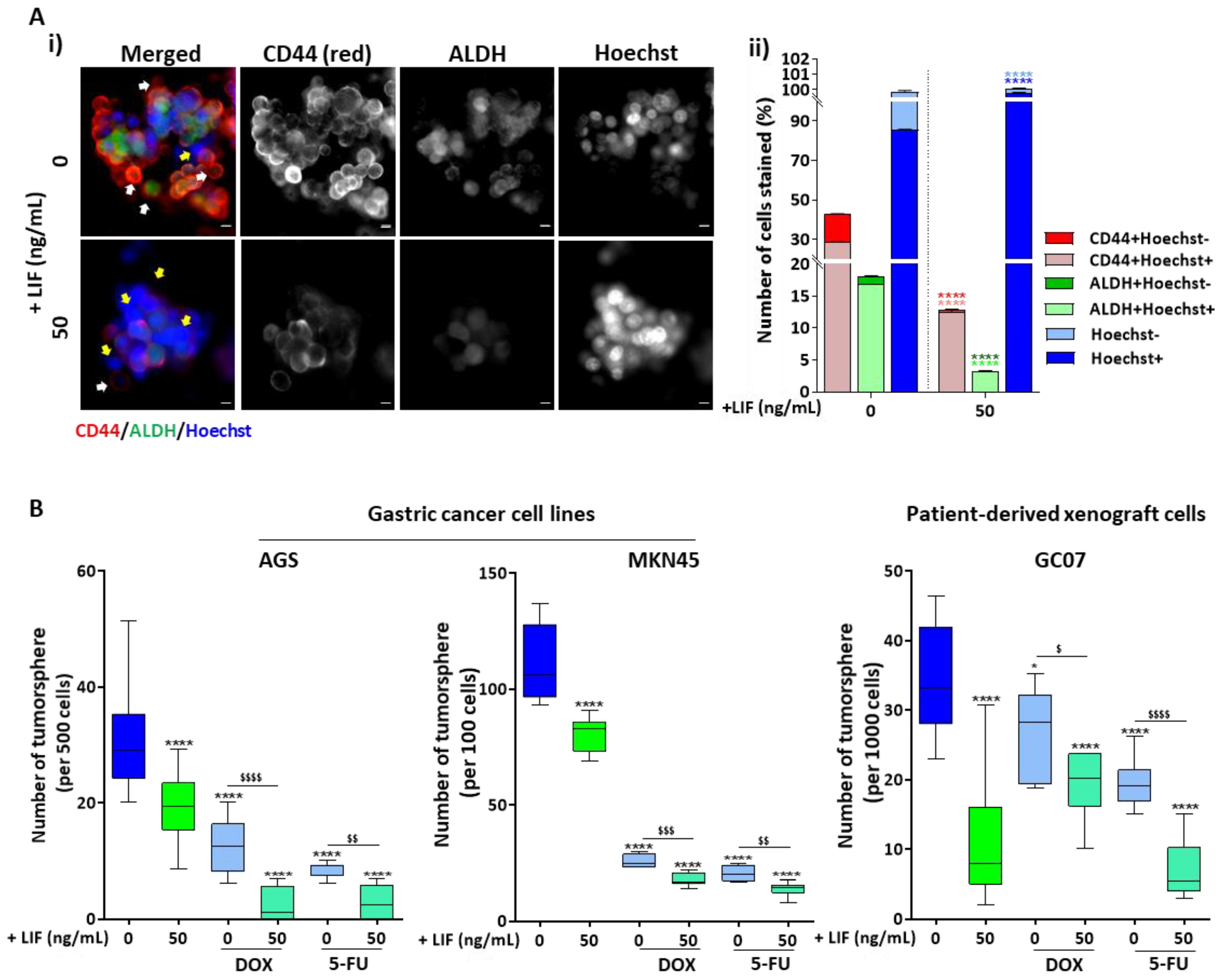 Cancers 12 02011 g003 Cancers 12 02011 g003