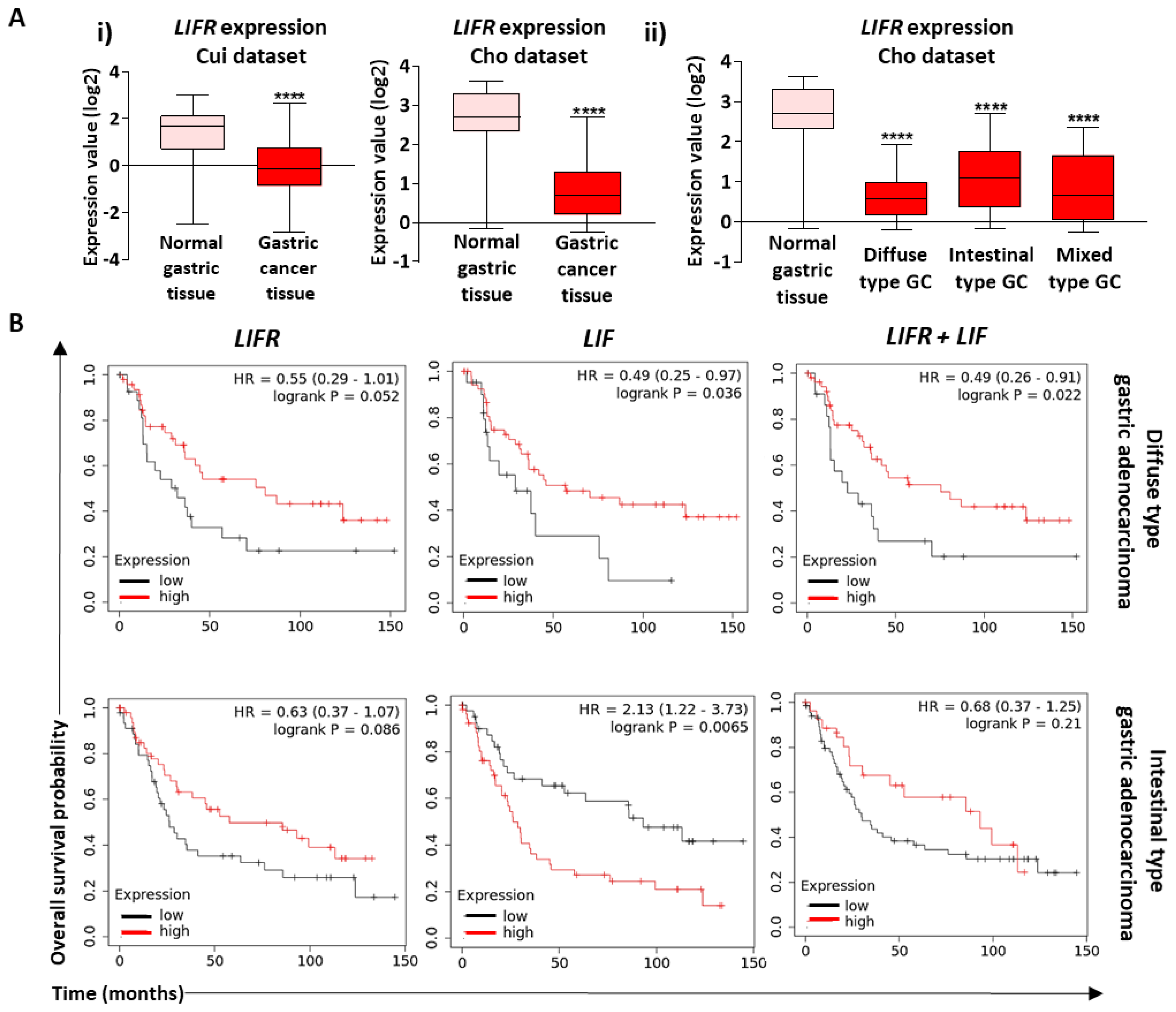 Cancers 12 02011 g007 Cancers 12 02011 g007