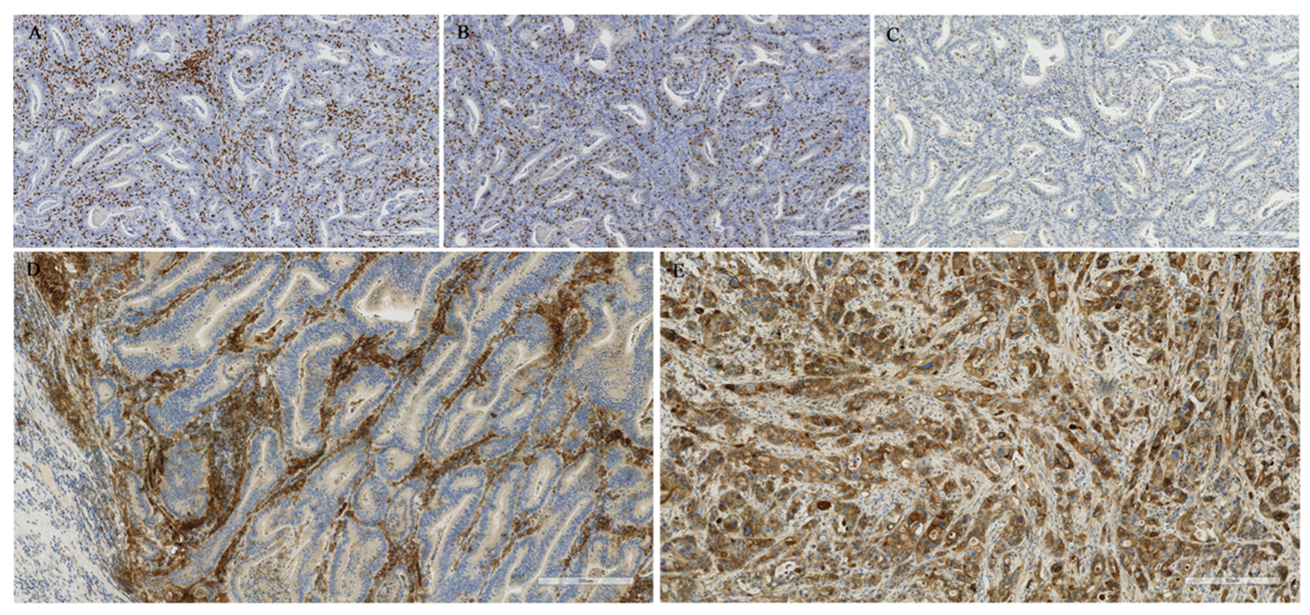 Cancers 12 02018 g002