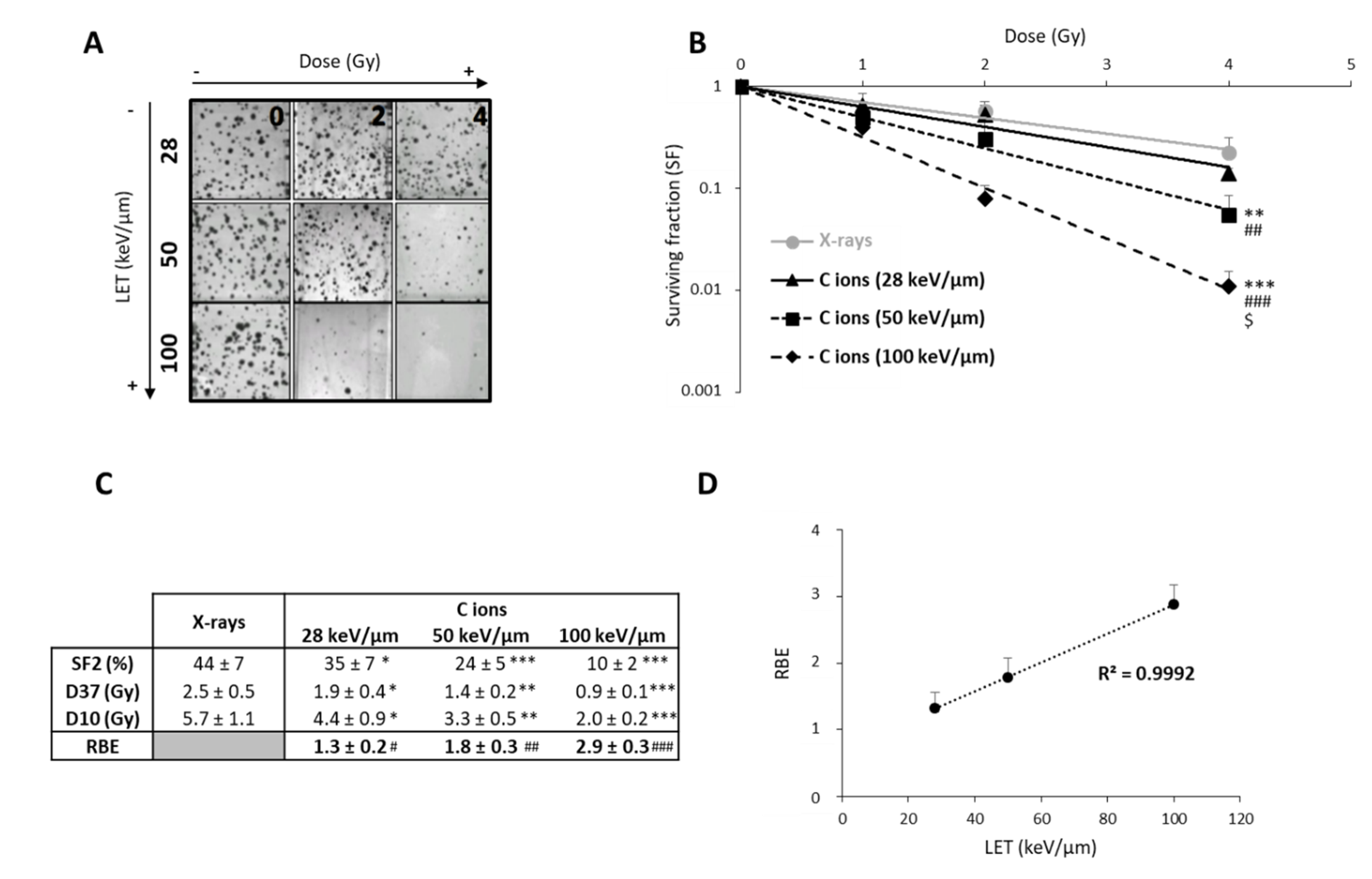 Cancers 12 02019 g001 Cancers 12 02019 g001