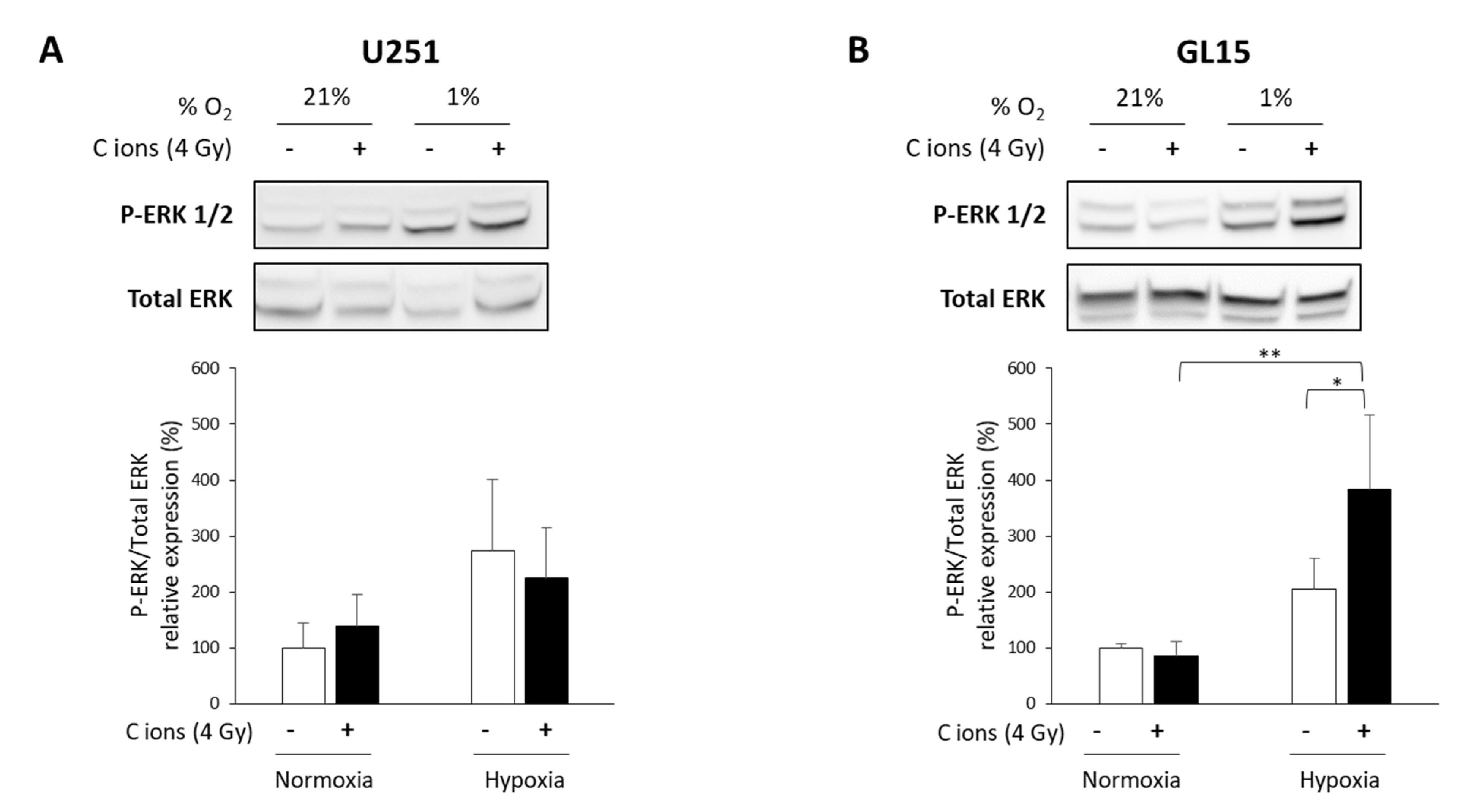 Cancers 12 02019 g004 Cancers 12 02019 g004
