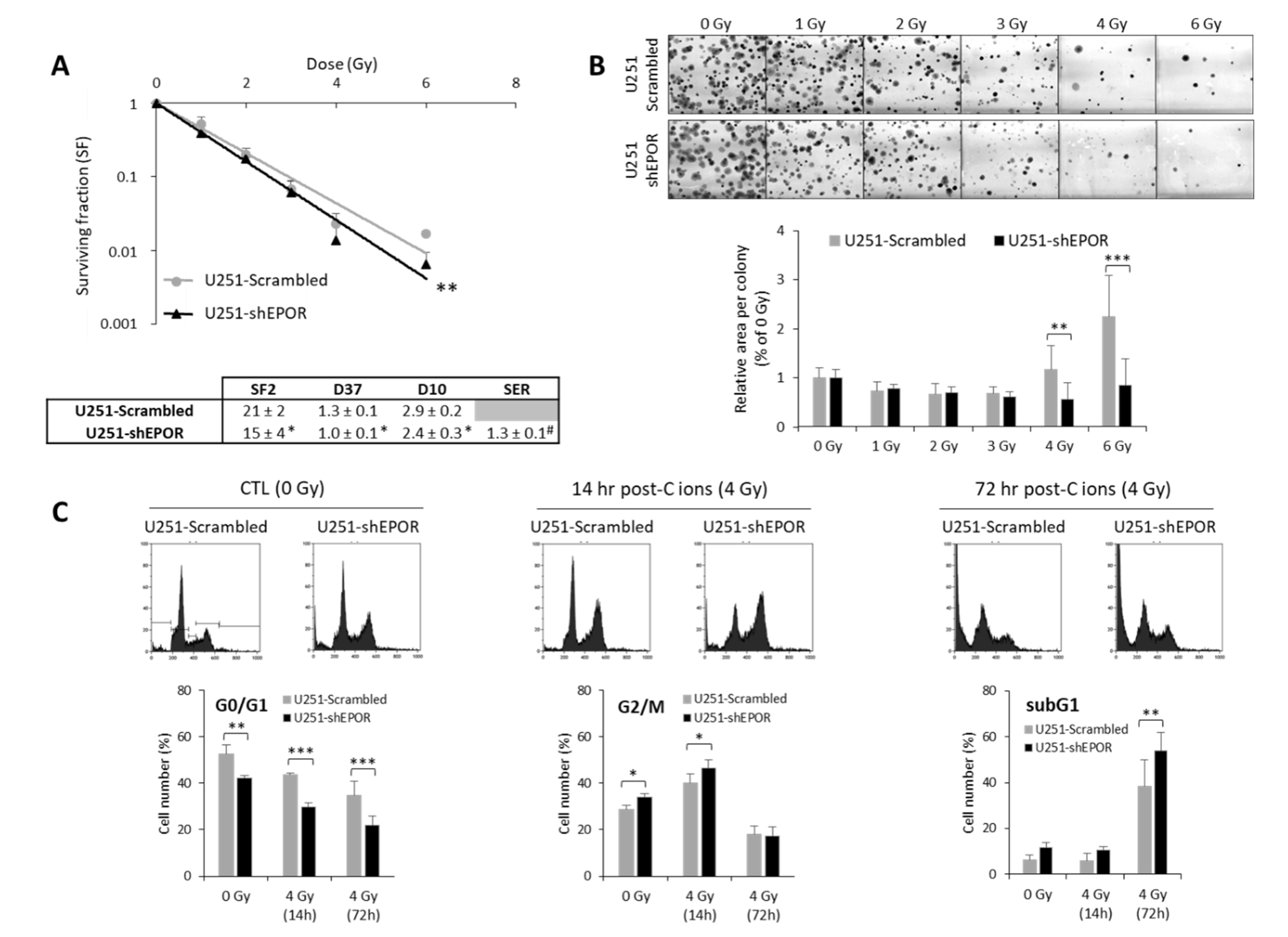 Cancers 12 02019 g006 Cancers 12 02019 g006