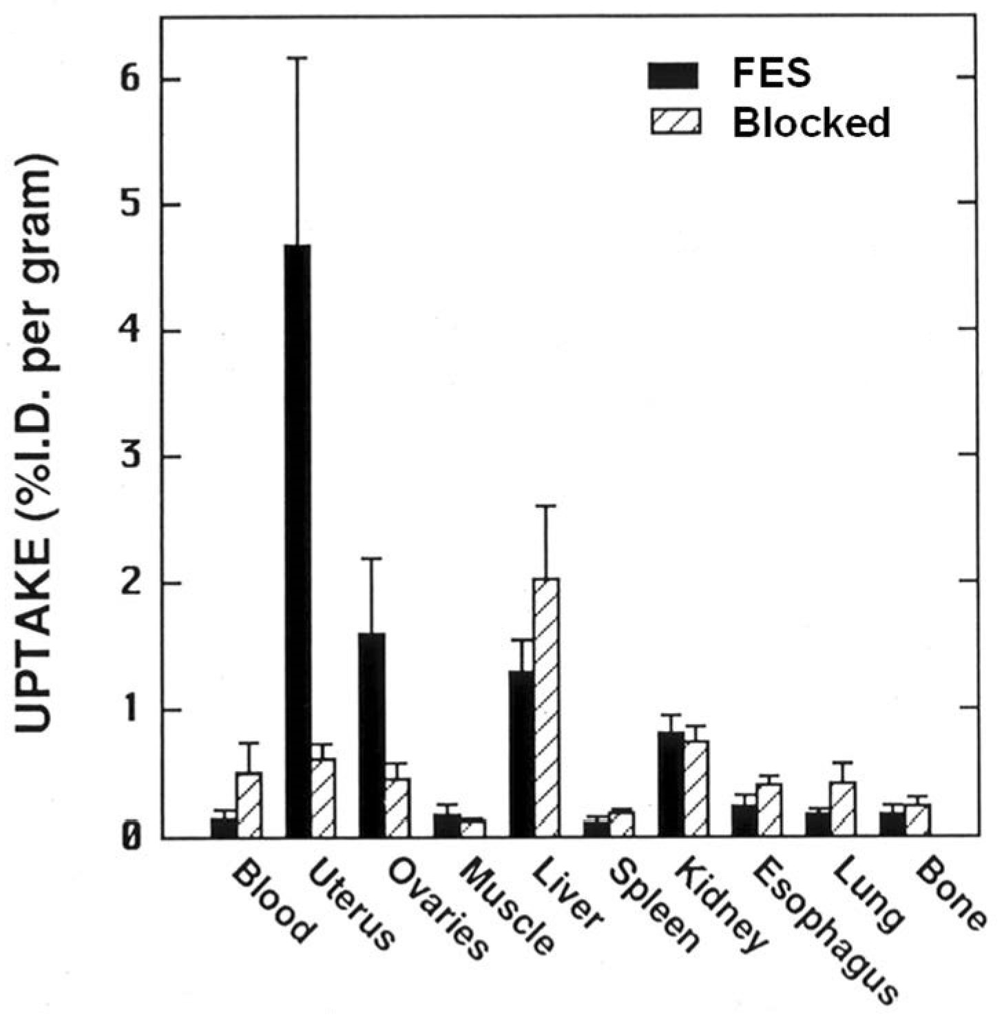 Cancers 12 02020 g005