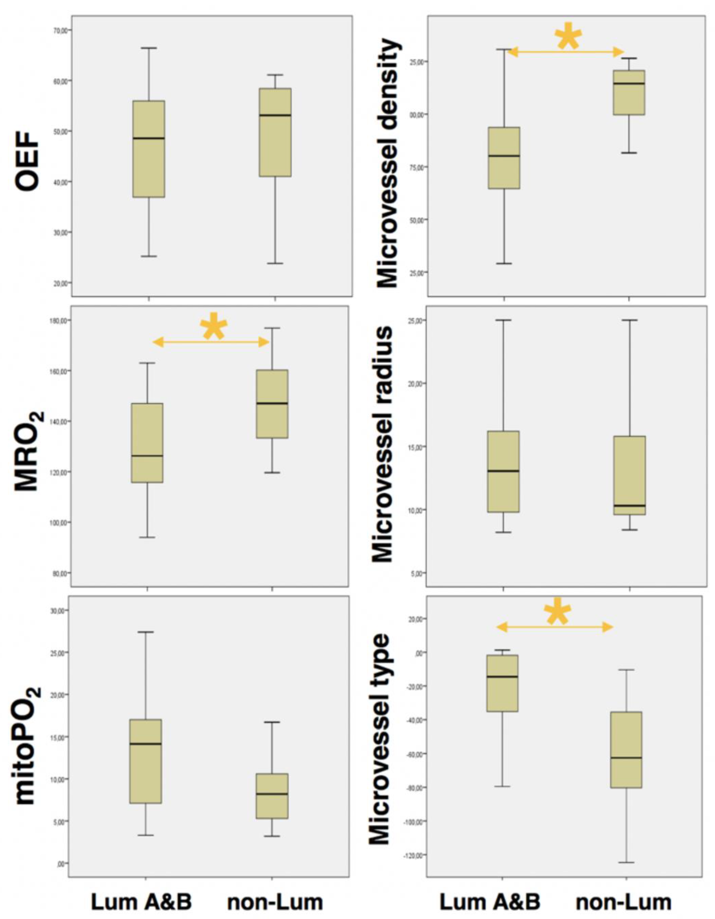 Cancers 12 02024 g003 Cancers 12 02024 g003