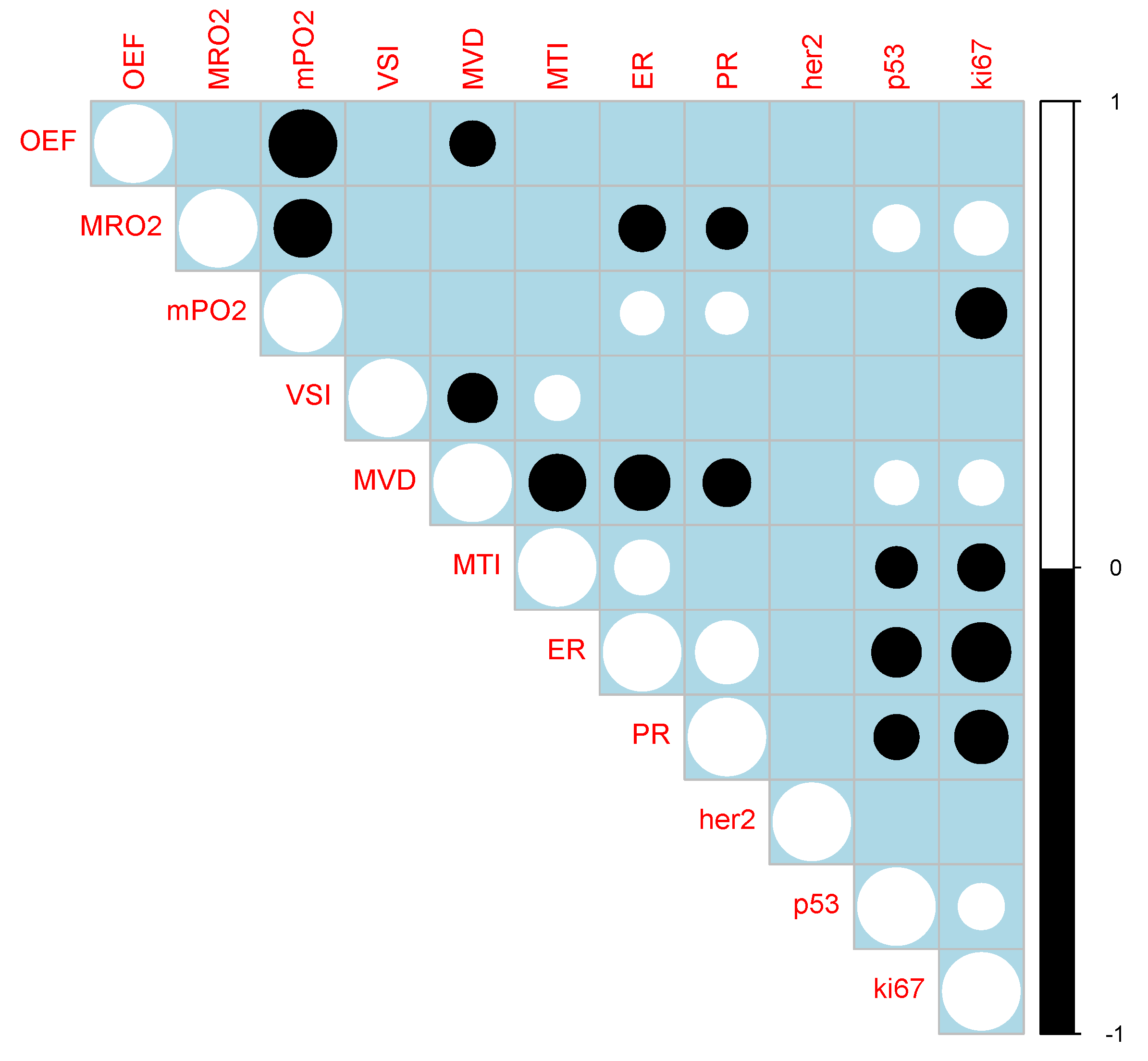 Cancers 12 02024 g004 Cancers 12 02024 g004