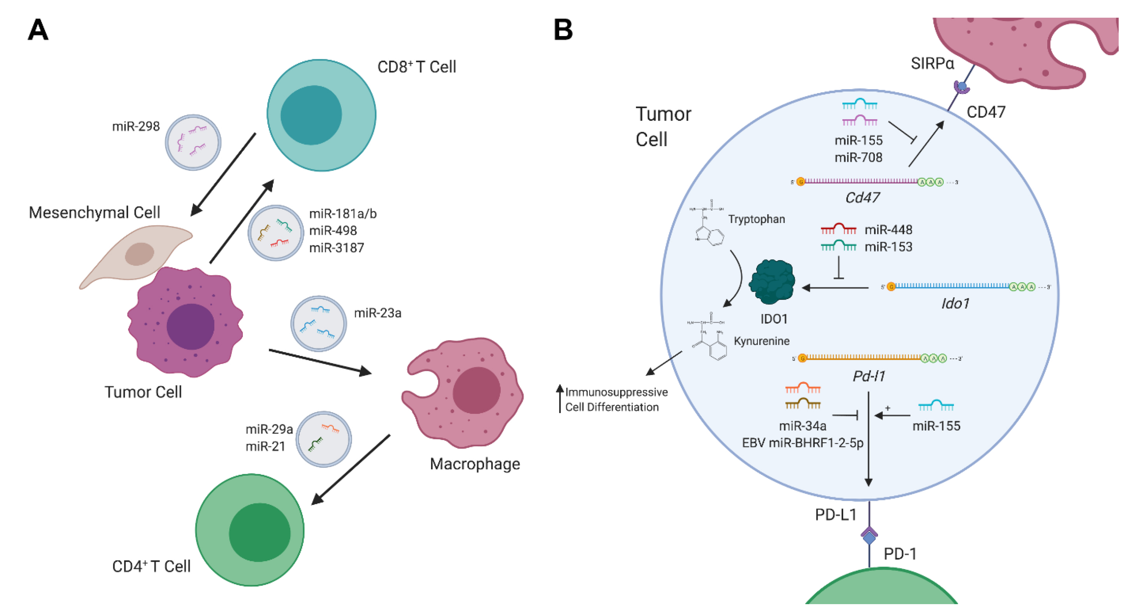 Cancers 12 02025 g001 Cancers 12 02025 g001