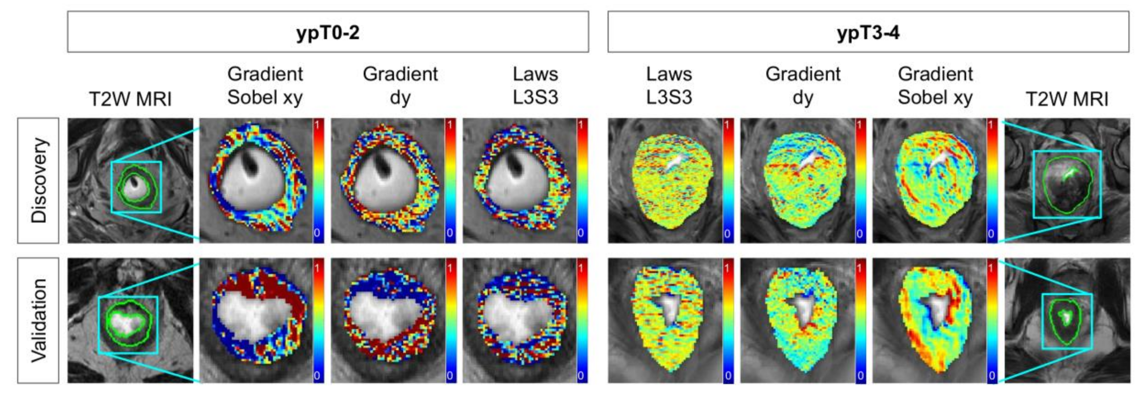 Cancers 12 02027 g001