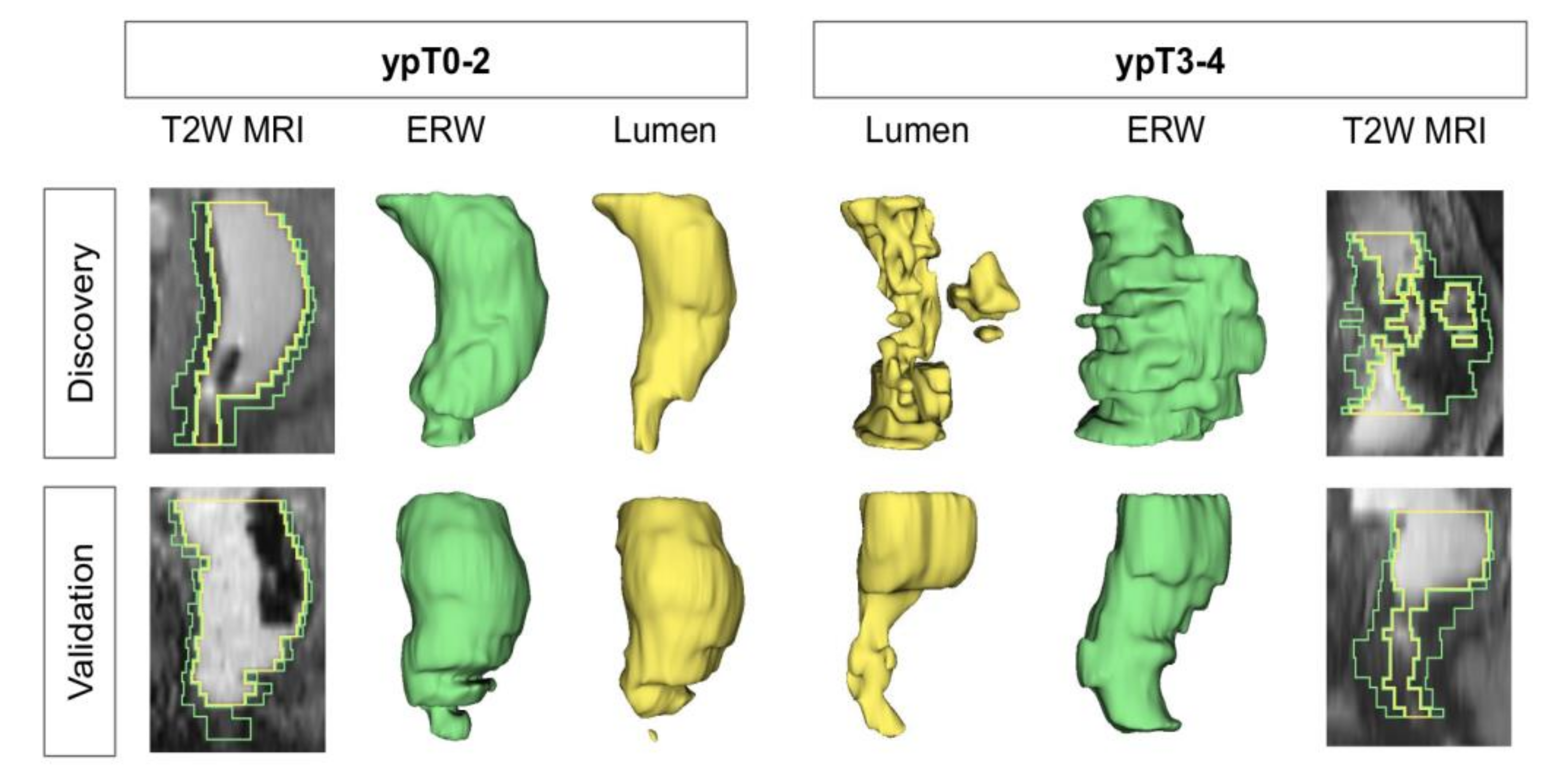 Cancers 12 02027 g003