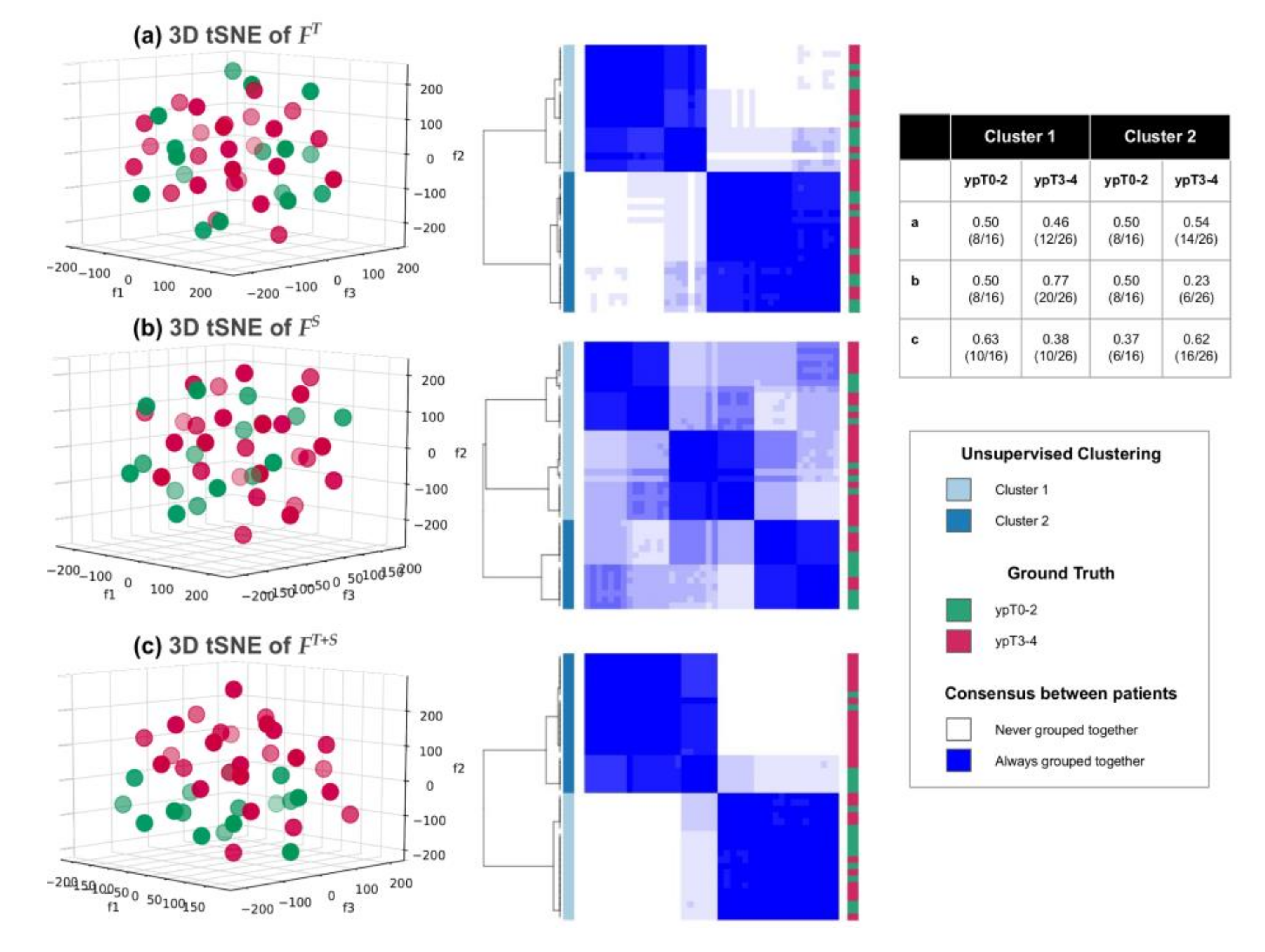Cancers 12 02027 g004