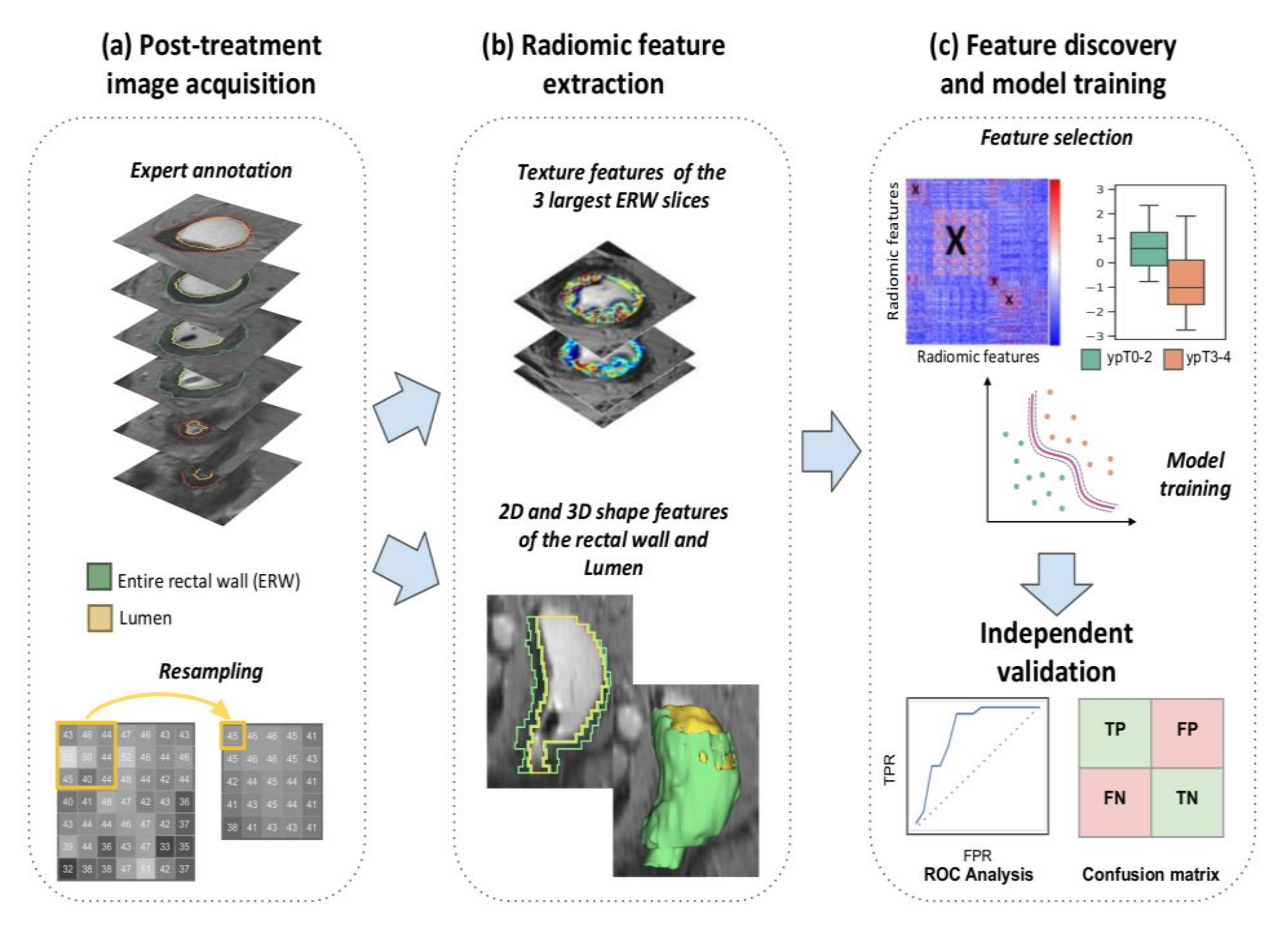 Cancers 12 02027 g005