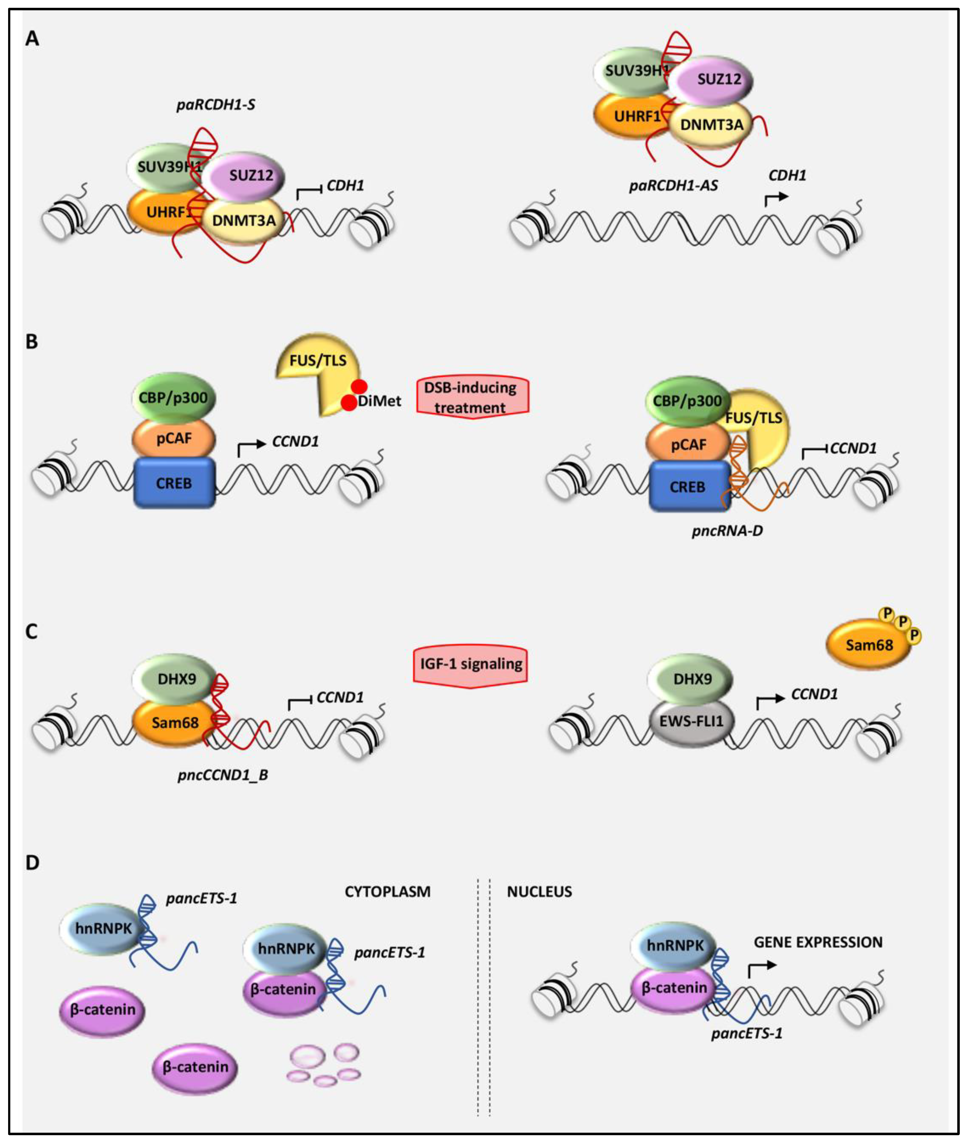 Cancers 12 02035 g002 Cancers 12 02035 g002