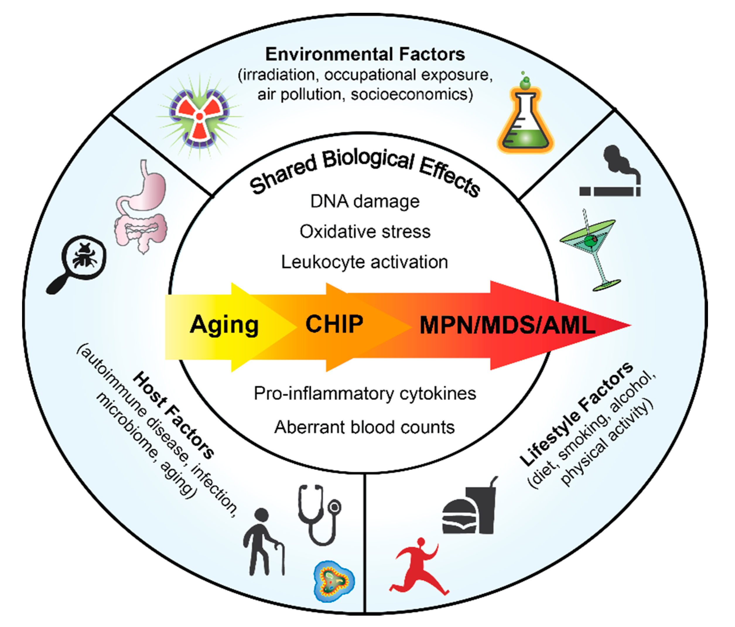 Cancers 12 02038 g001 Cancers 12 02038 g001