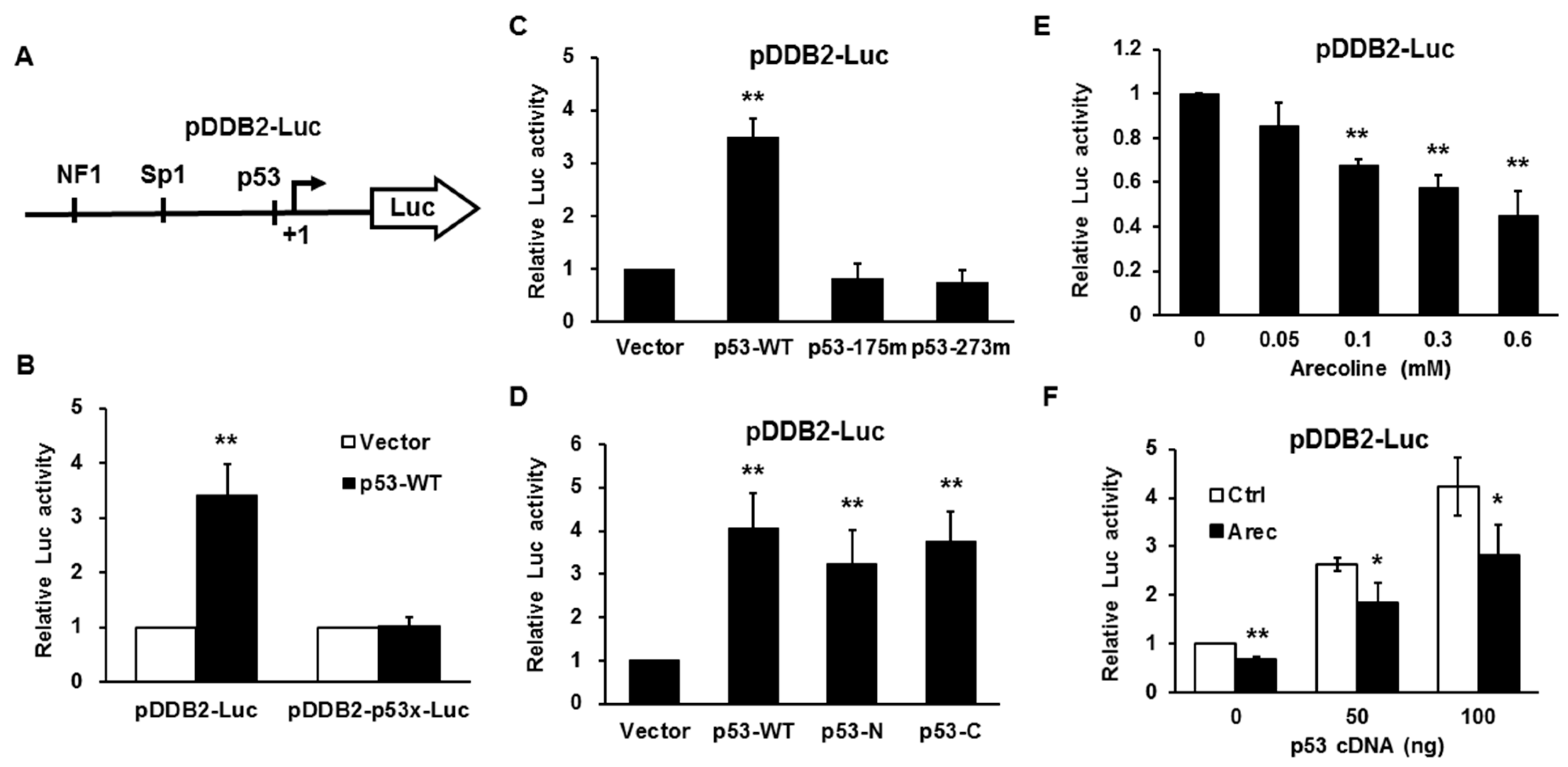Cancers 12 02053 g003