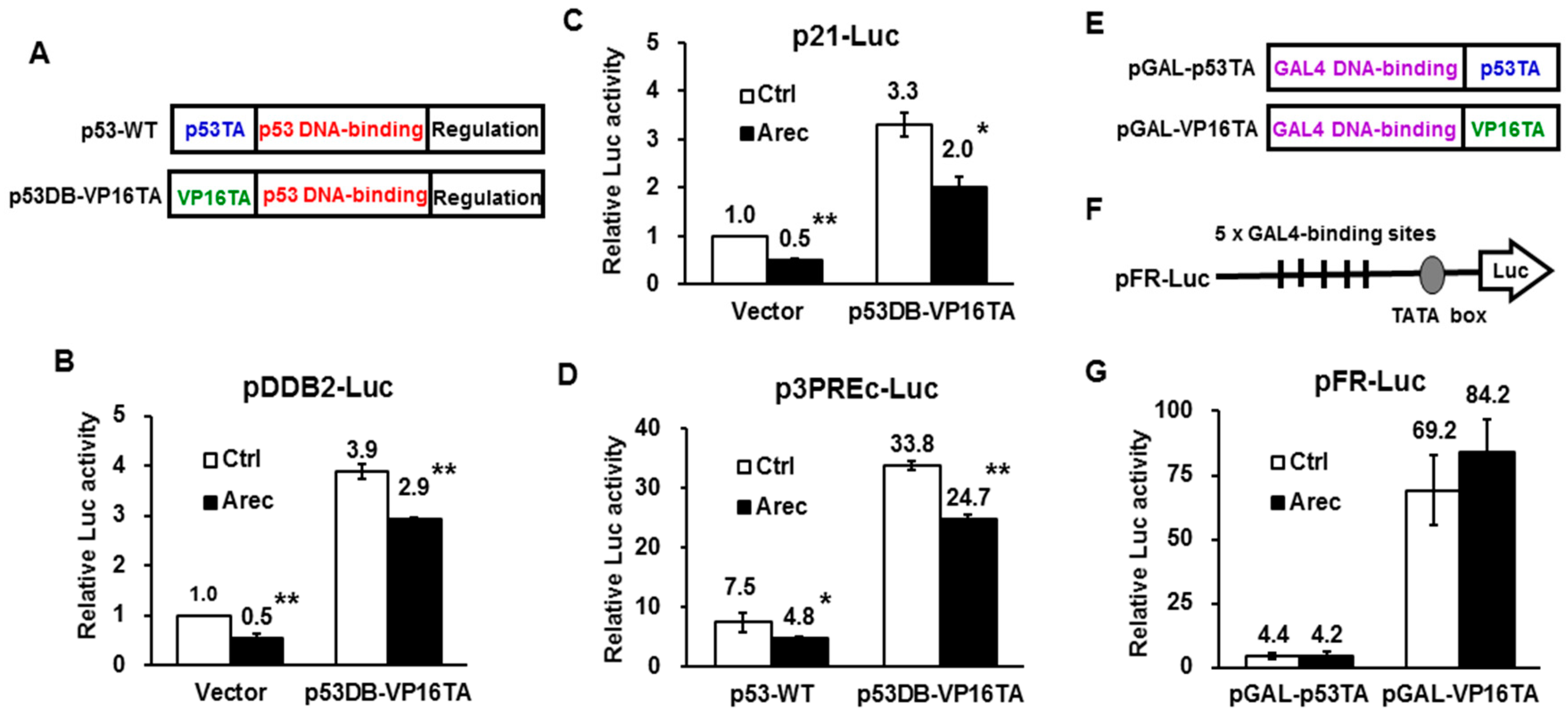Cancers 12 02053 g004