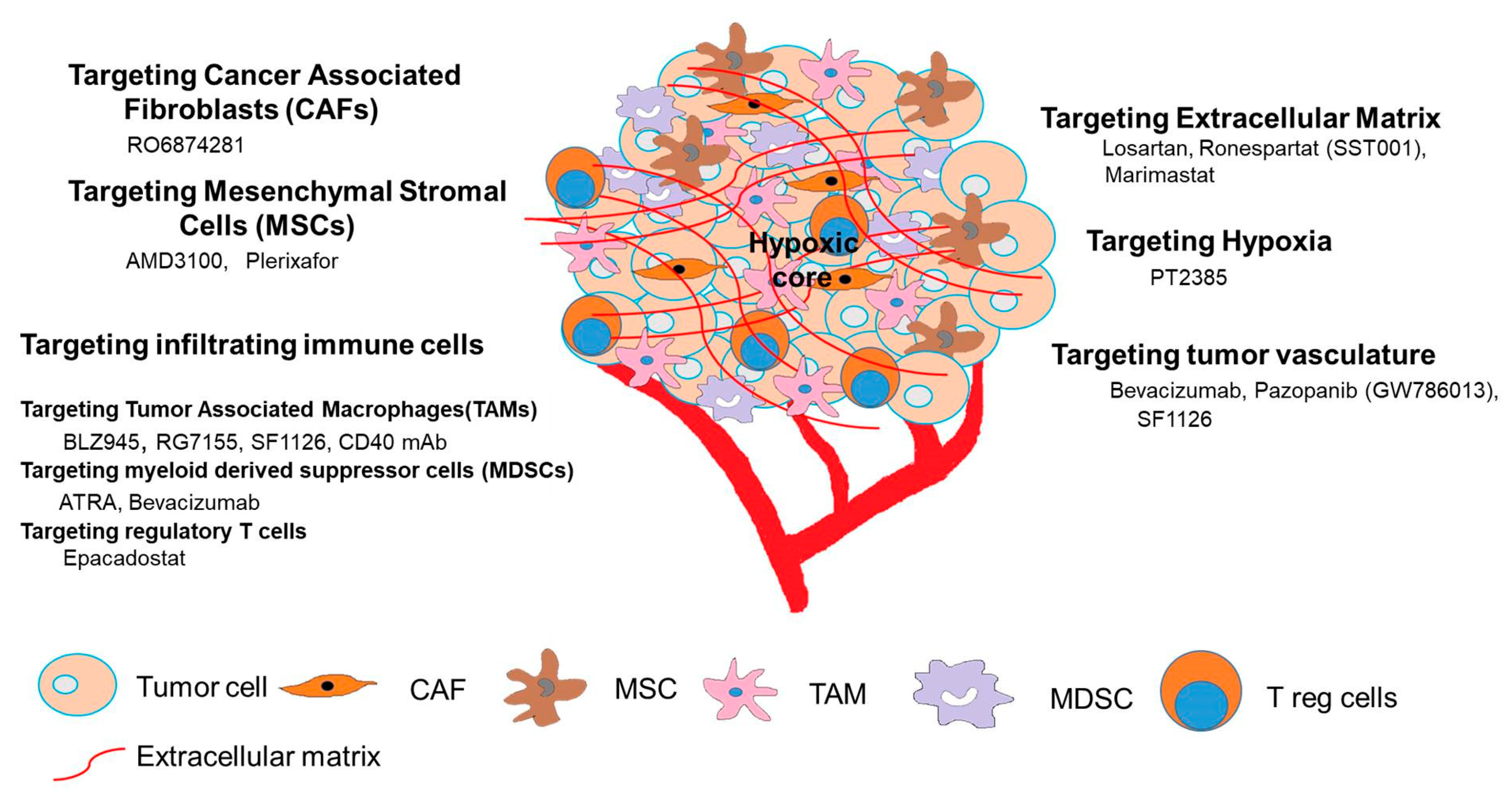 Cancers 12 02057 g001 Cancers 12 02057 g001