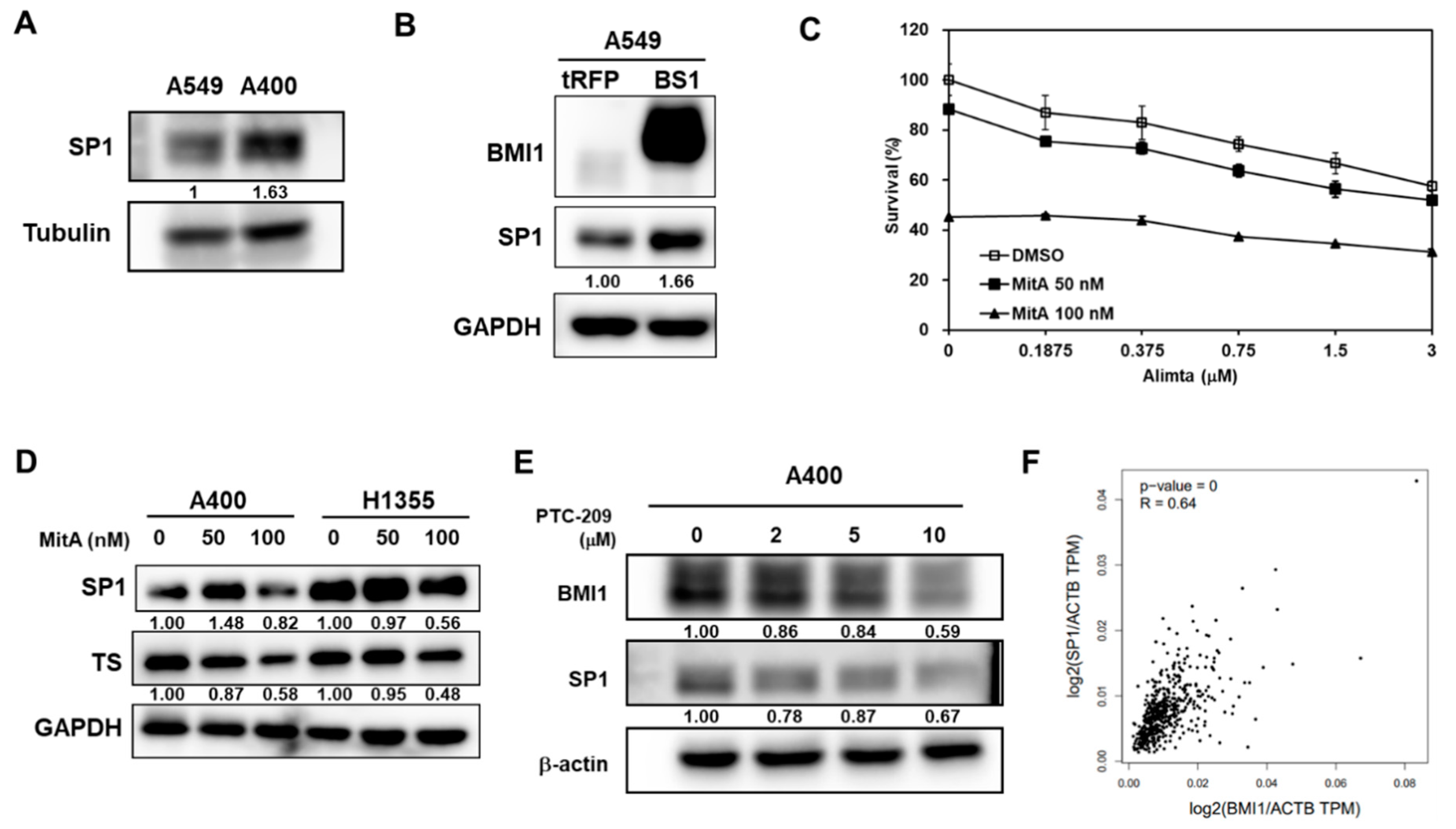 Cancers 12 02069 g005