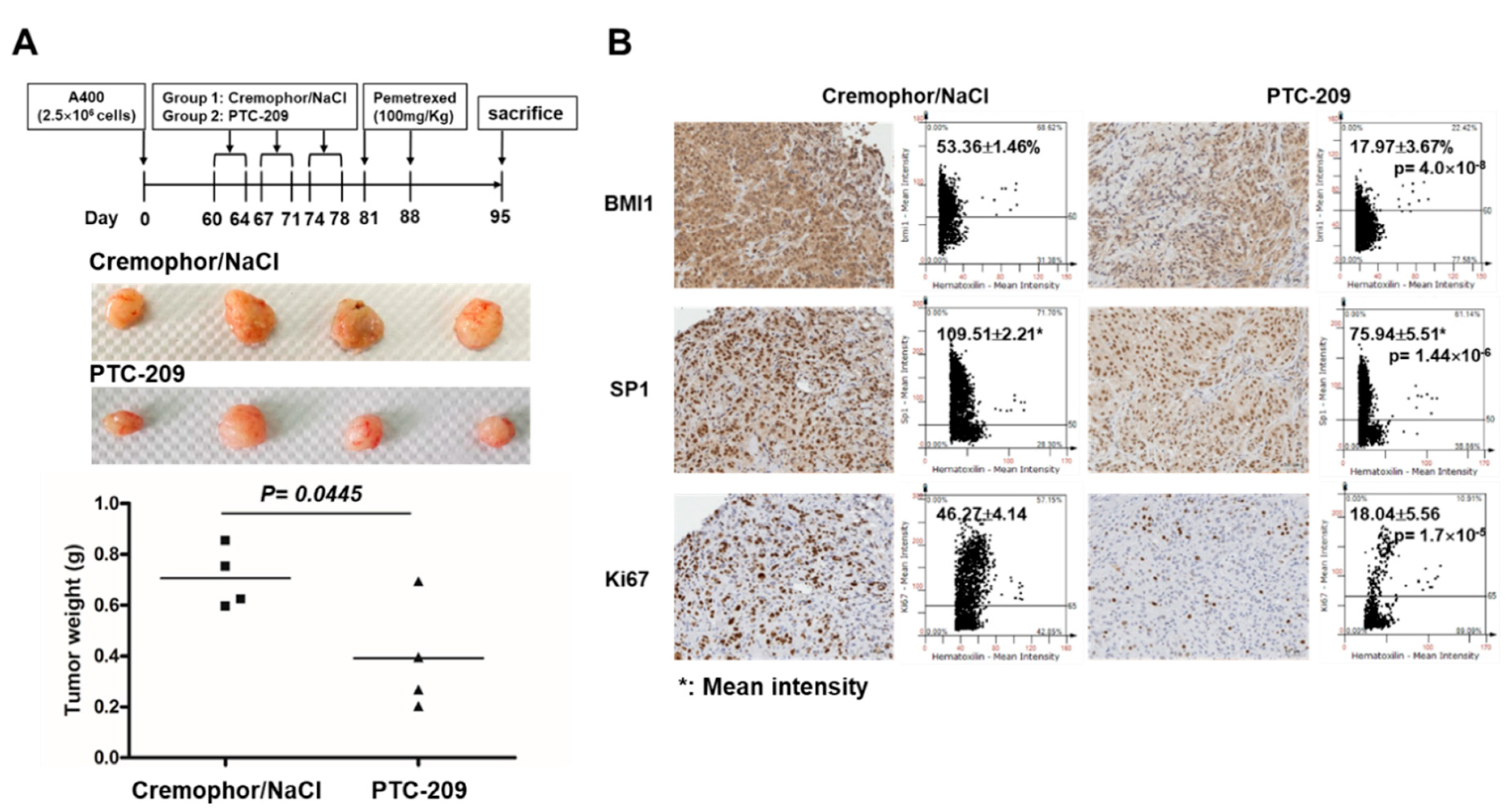 Cancers 12 02069 g007