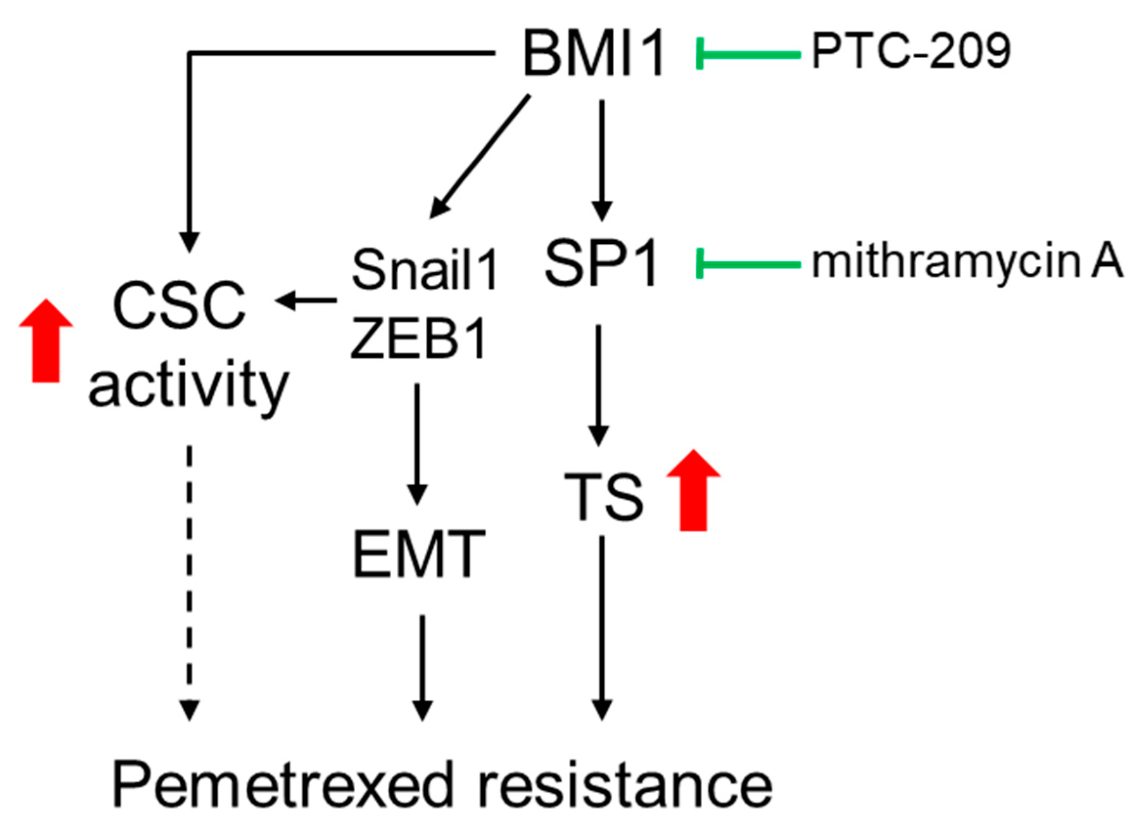 Cancers 12 02069 g008