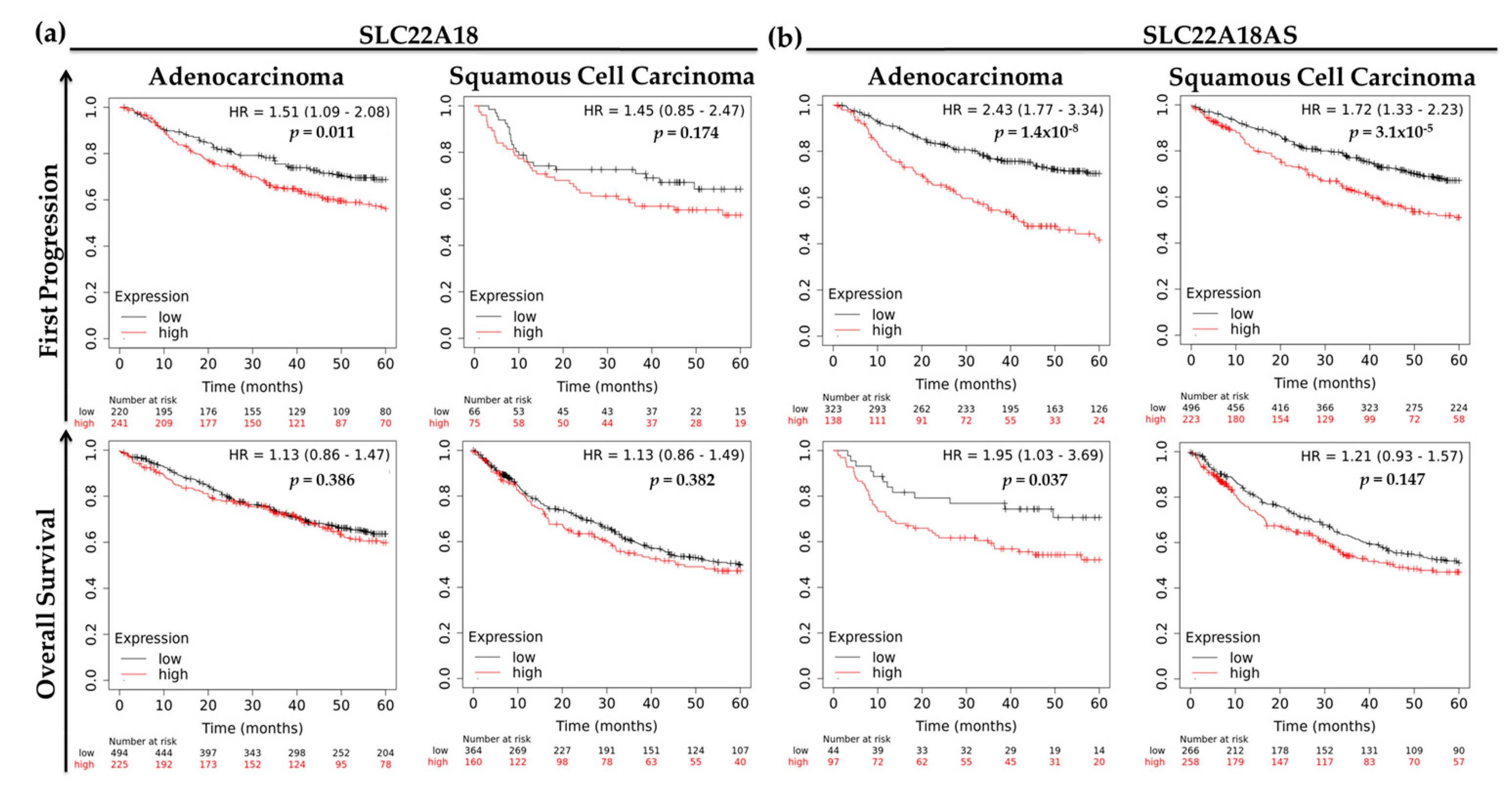 Cancers 12 02075 g006