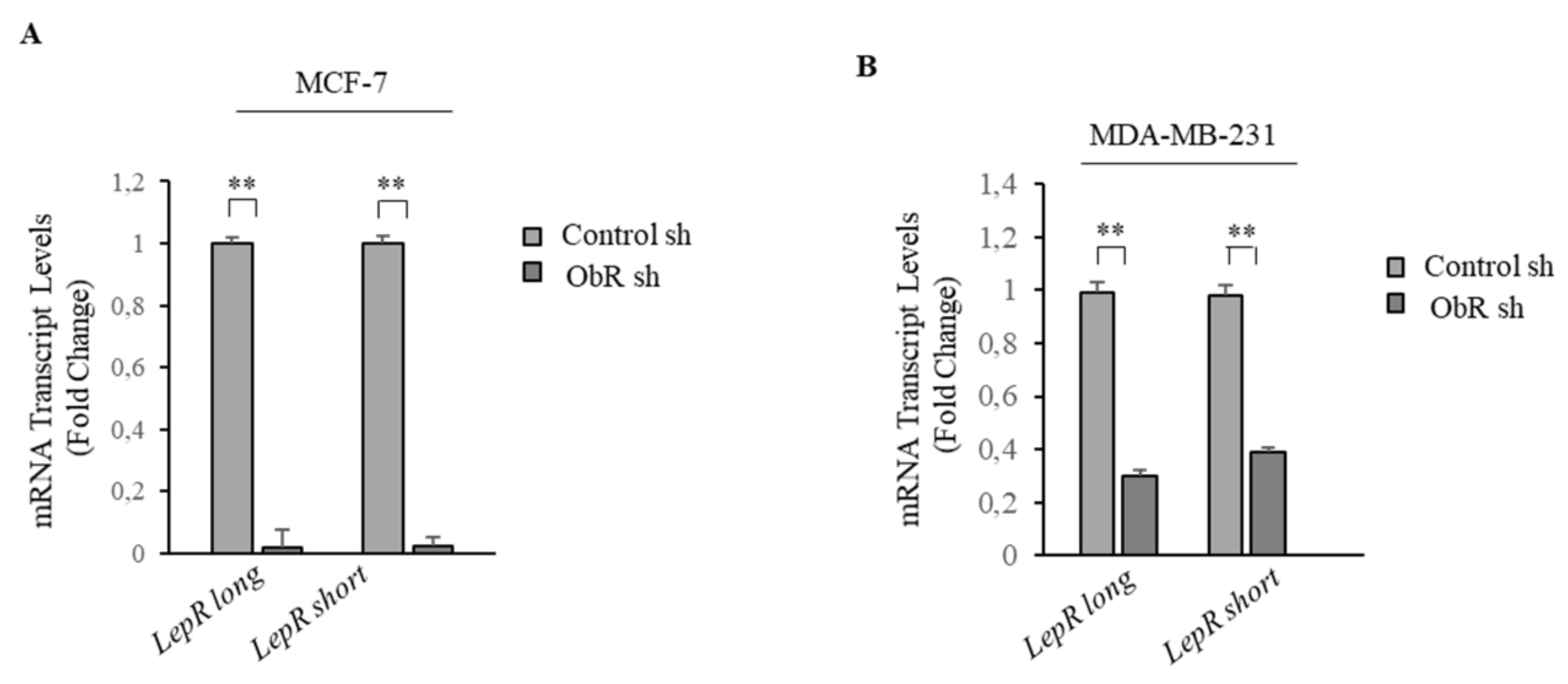 Cancers 12 02078 g001