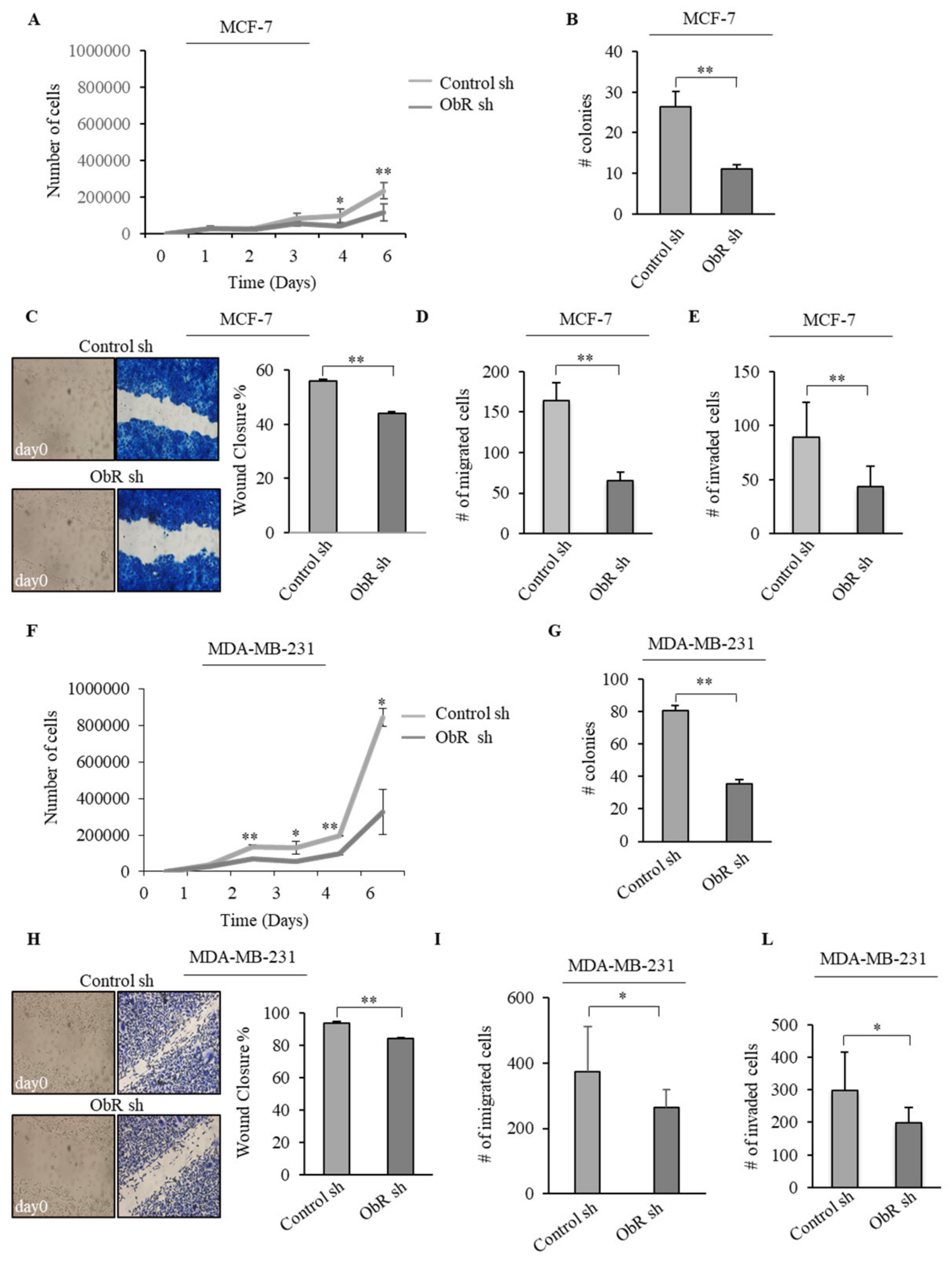 Cancers 12 02078 g002