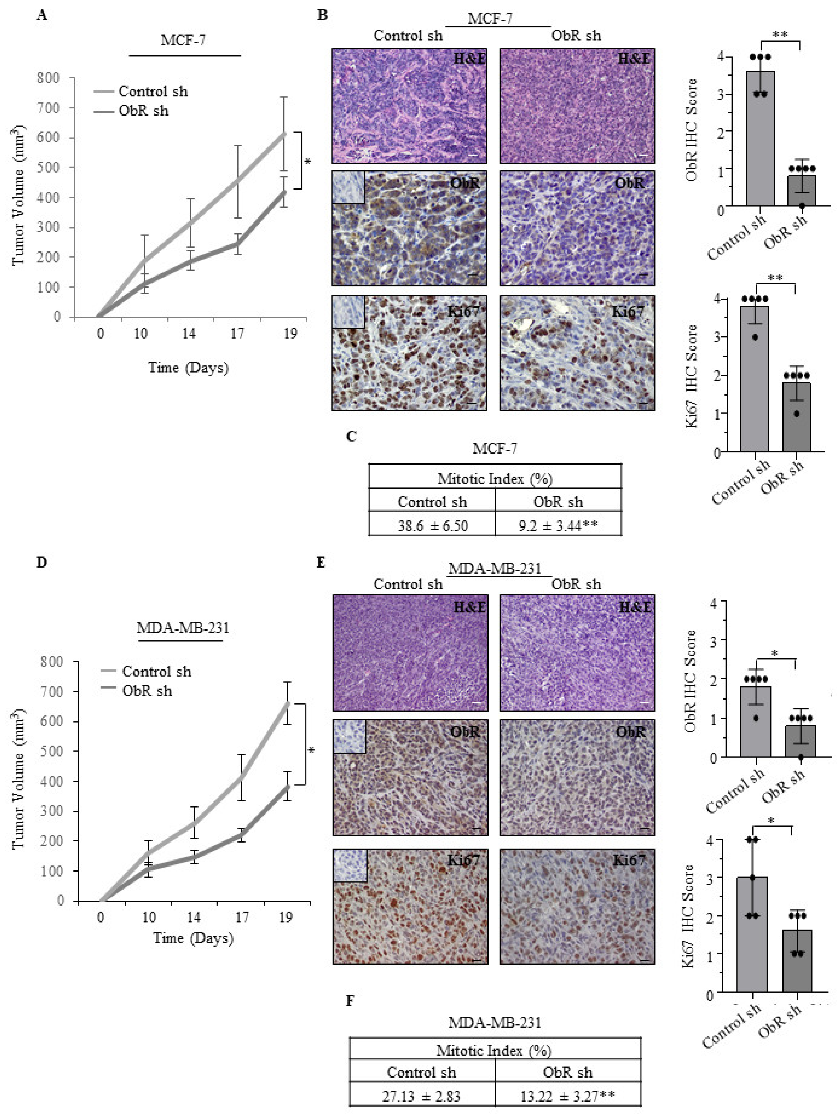 Cancers 12 02078 g003