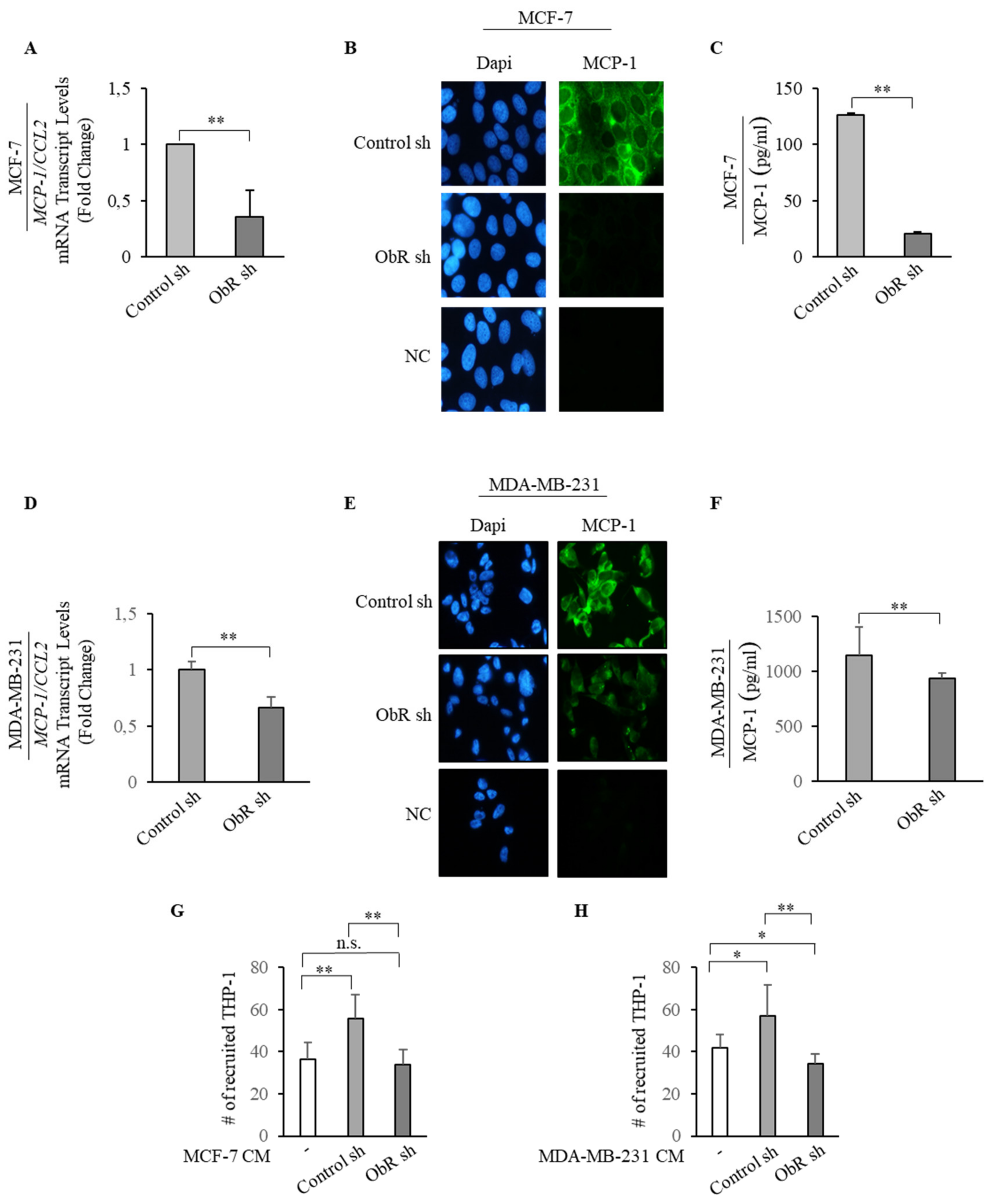 Cancers 12 02078 g005