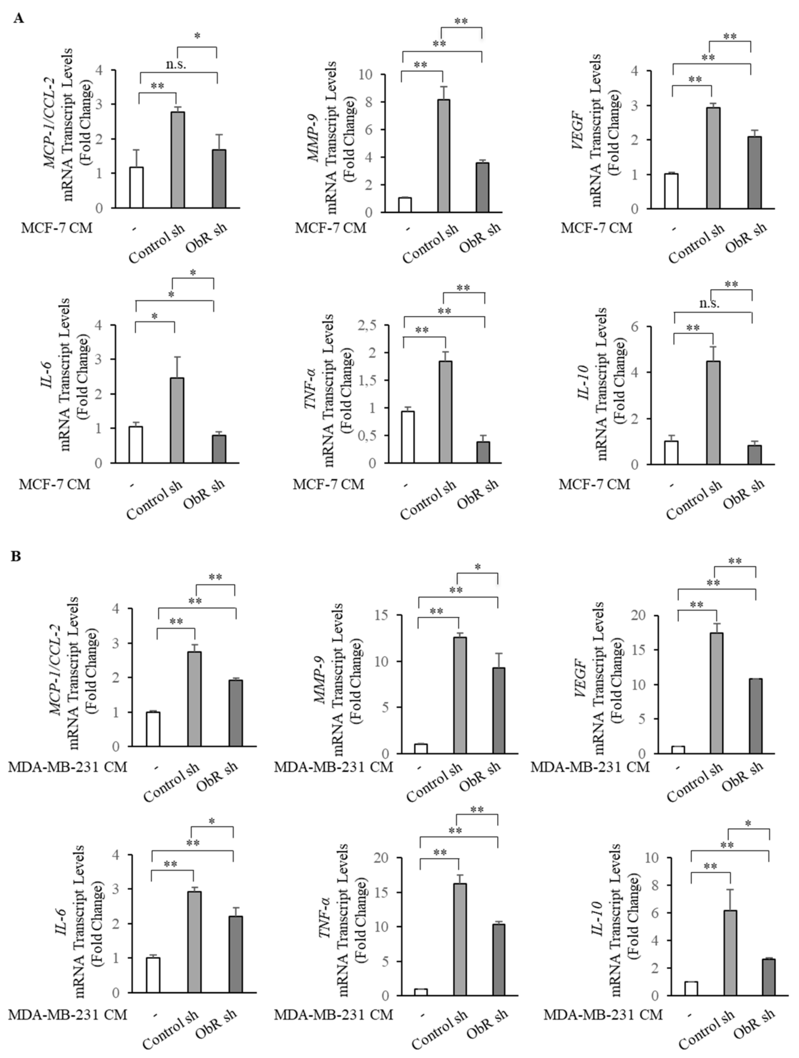 Cancers 12 02078 g006