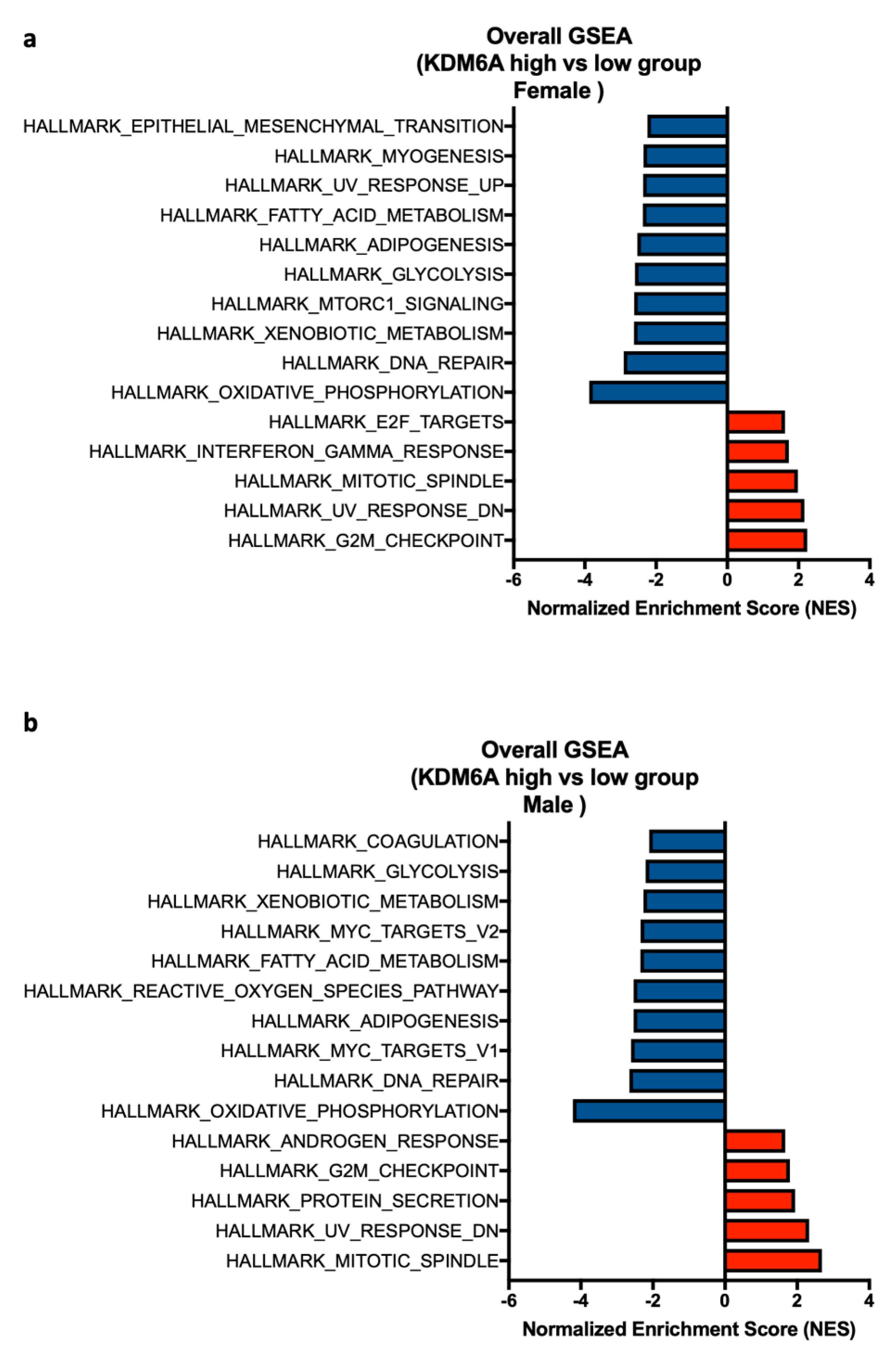 Cancers 12 02082 g005
