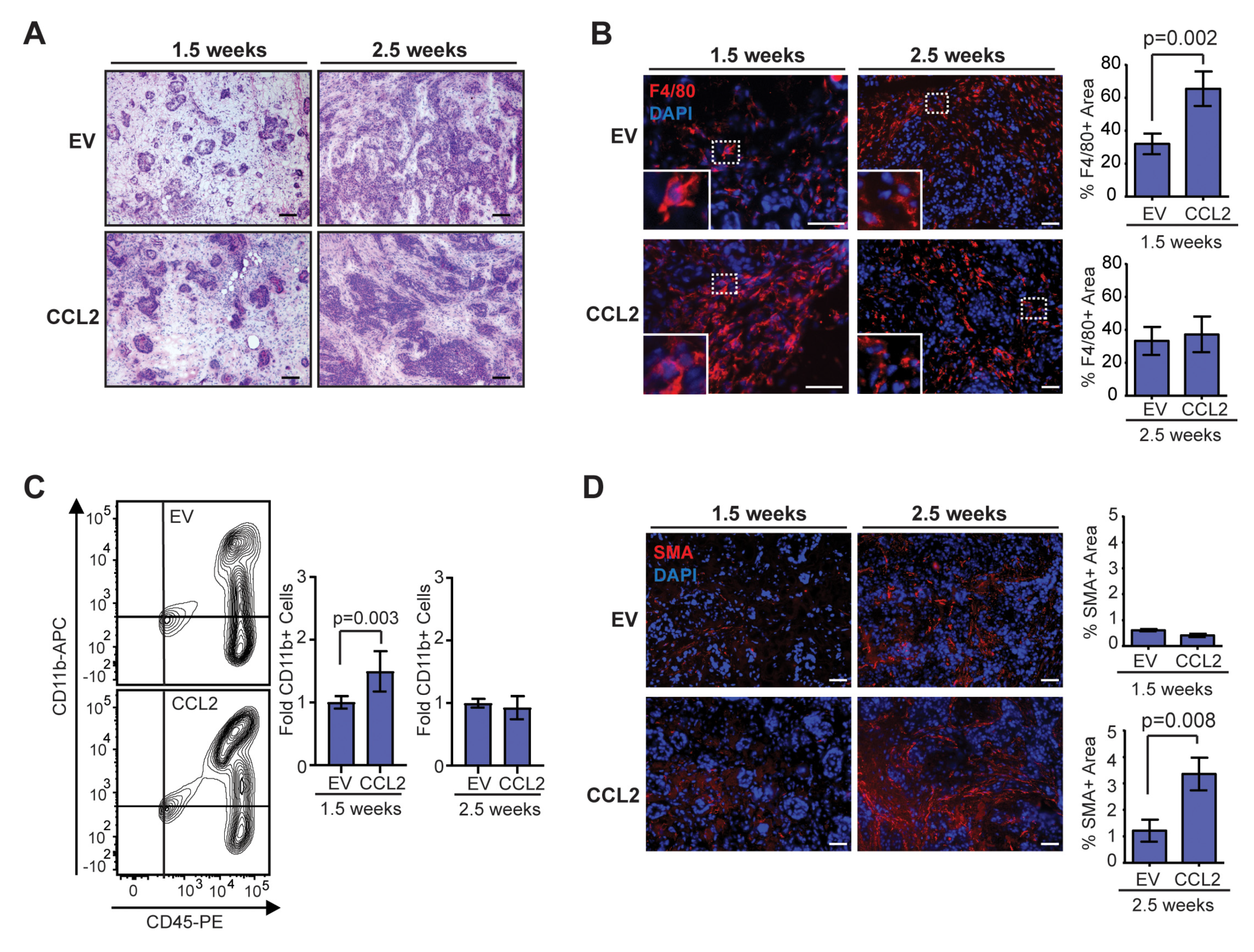 Cancers 12 02083 g002