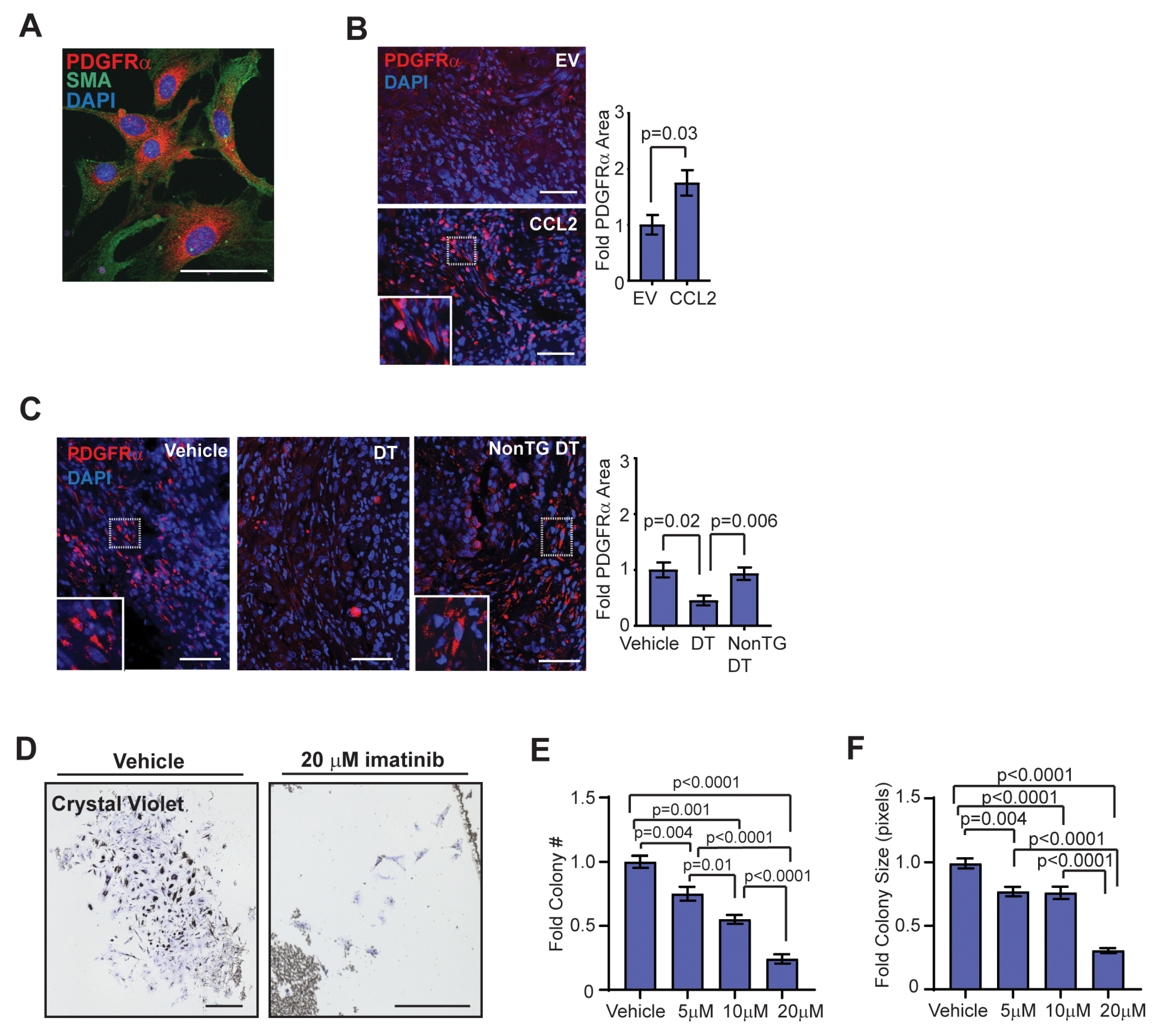 Cancers 12 02083 g005