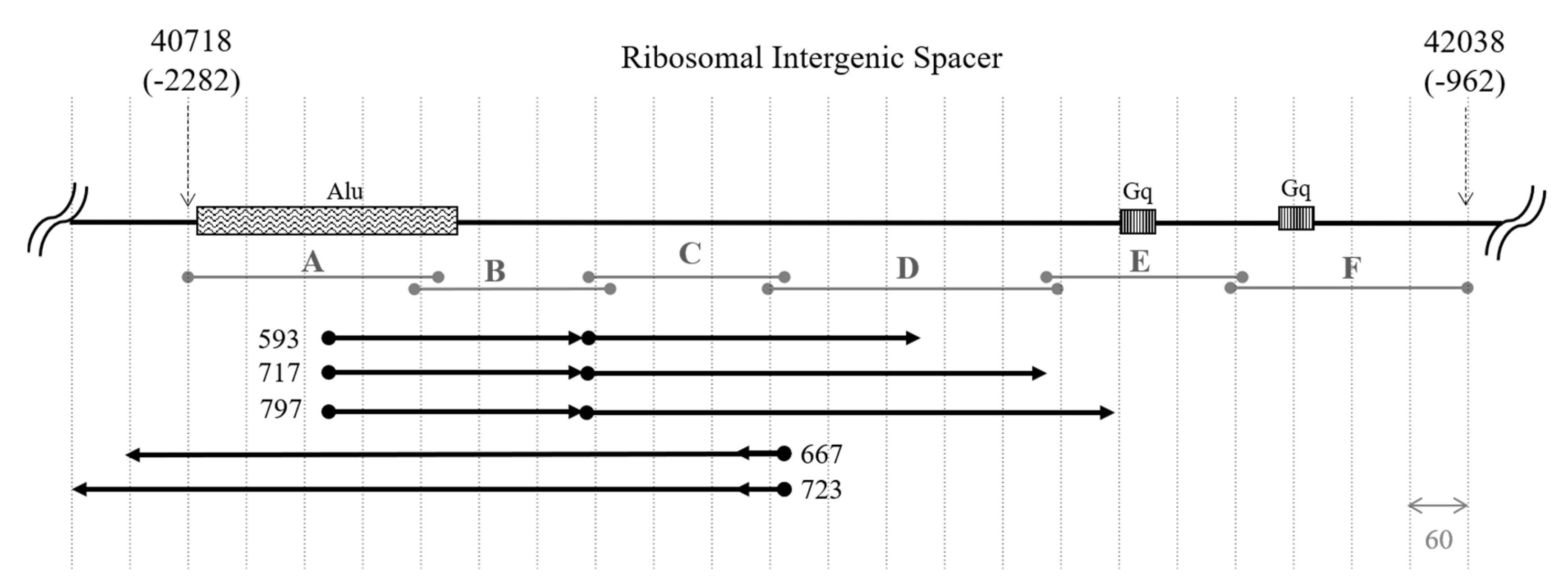 Cancers 12 02090 g006 Cancers 12 02090 g006