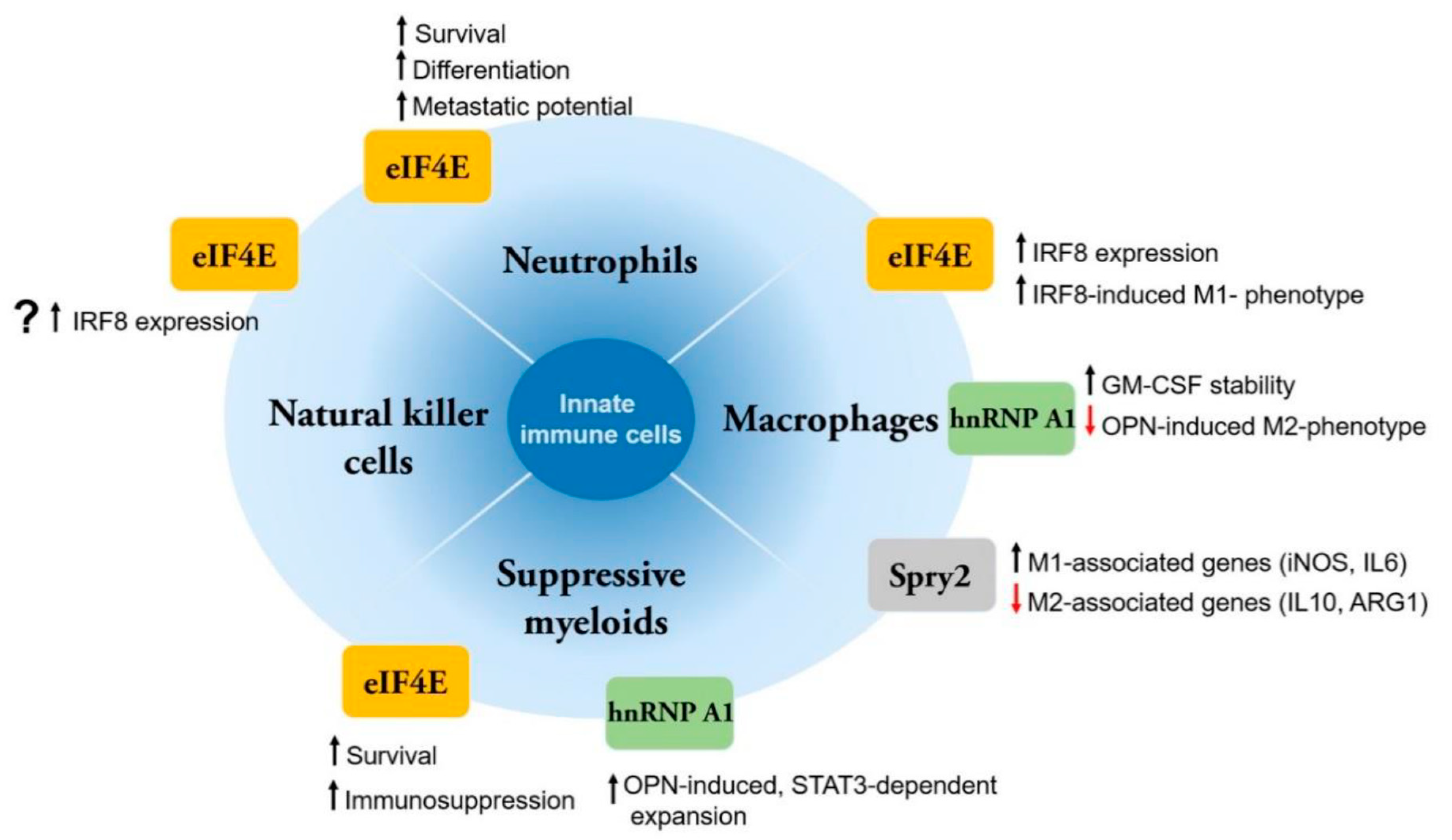 Cancers 12 02096 g001