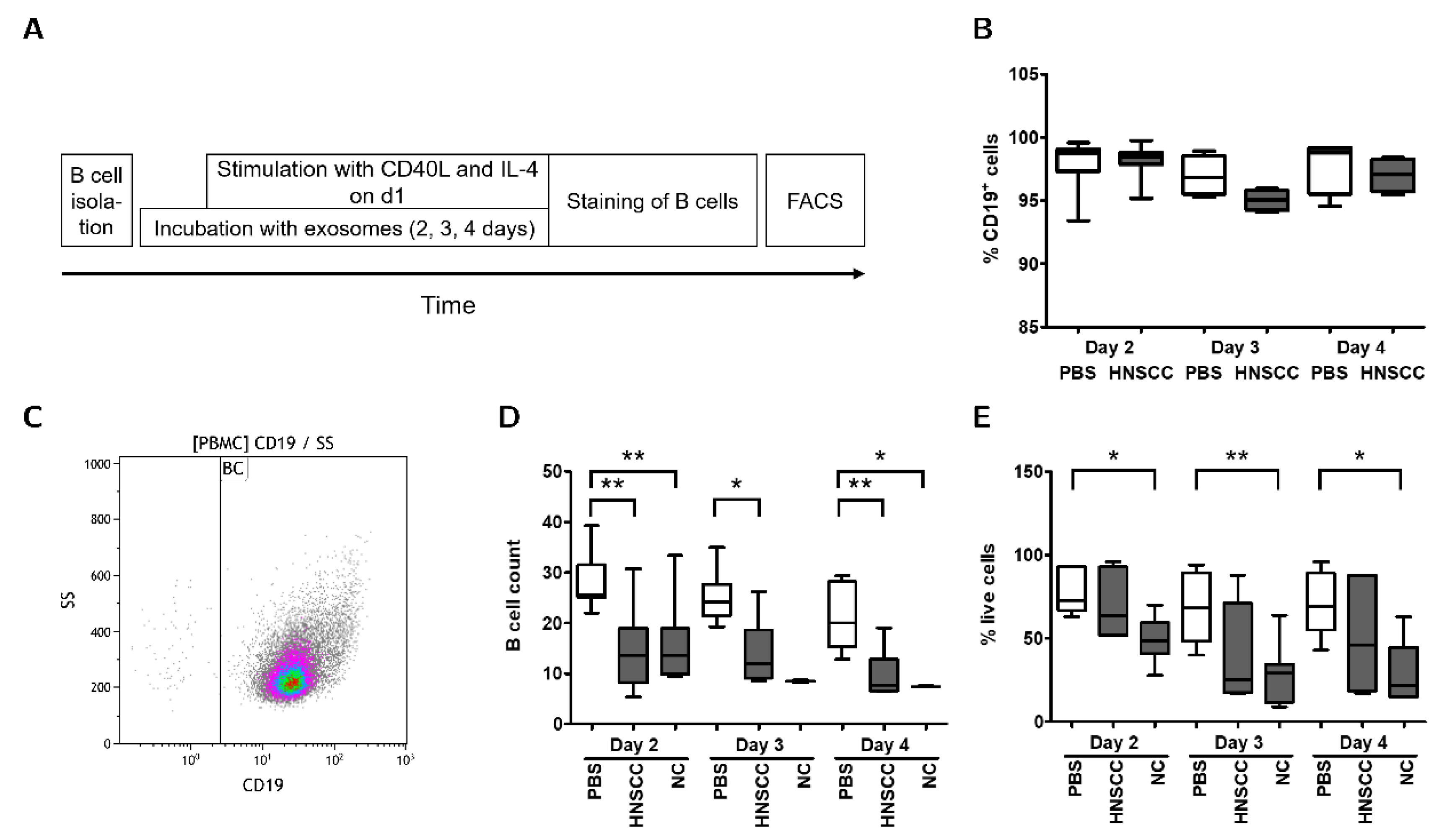 Cancers 12 02110 g003