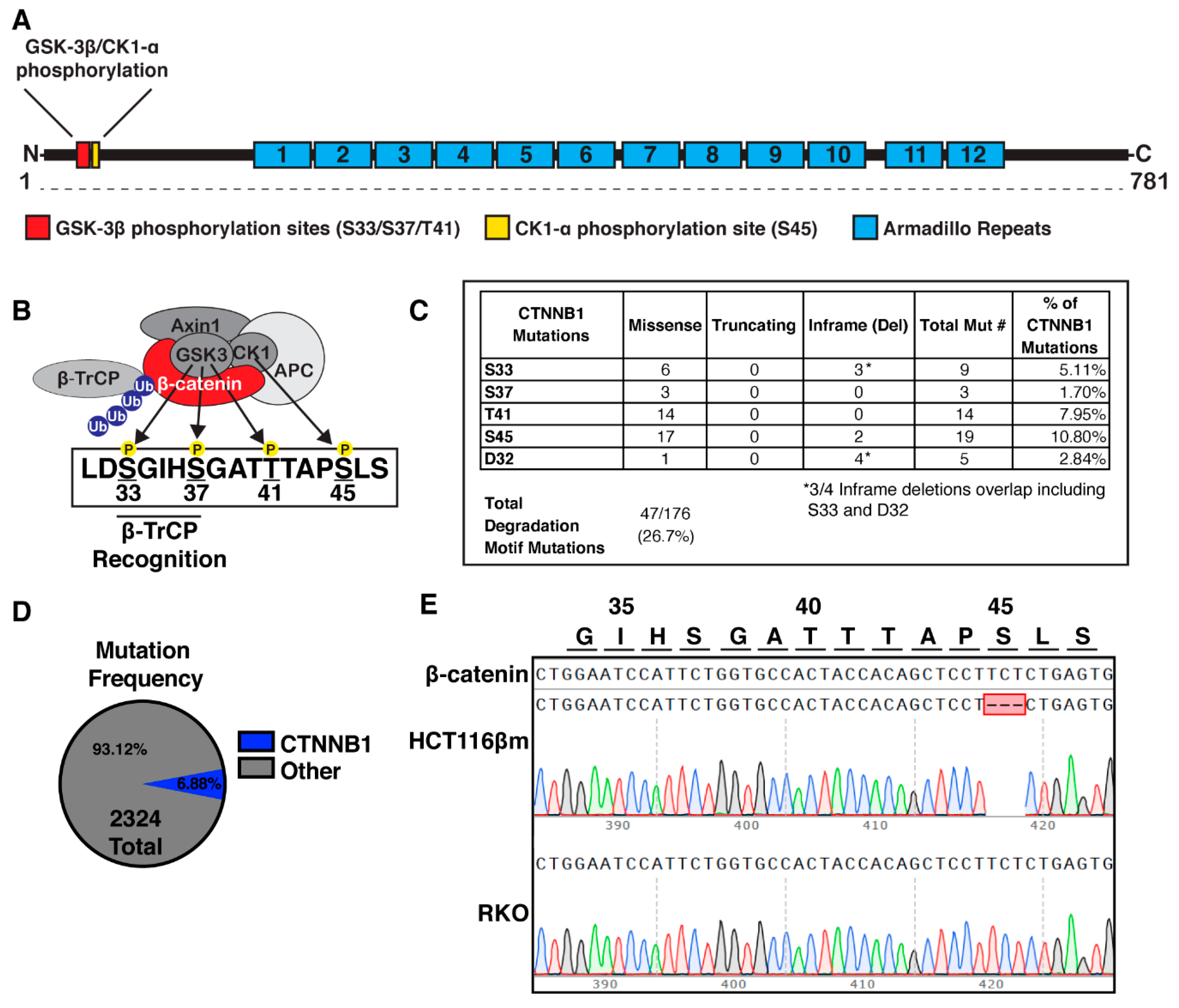 Cancers 12 02114 g001 Cancers 12 02114 g001