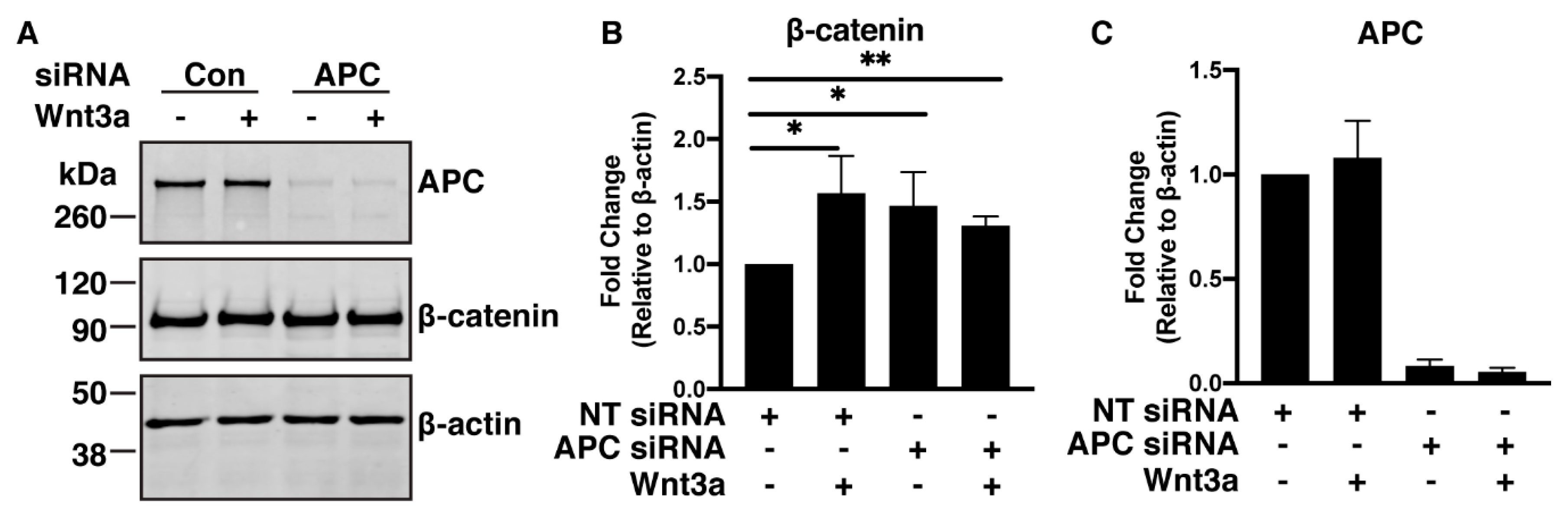 Cancers 12 02114 g003 Cancers 12 02114 g003