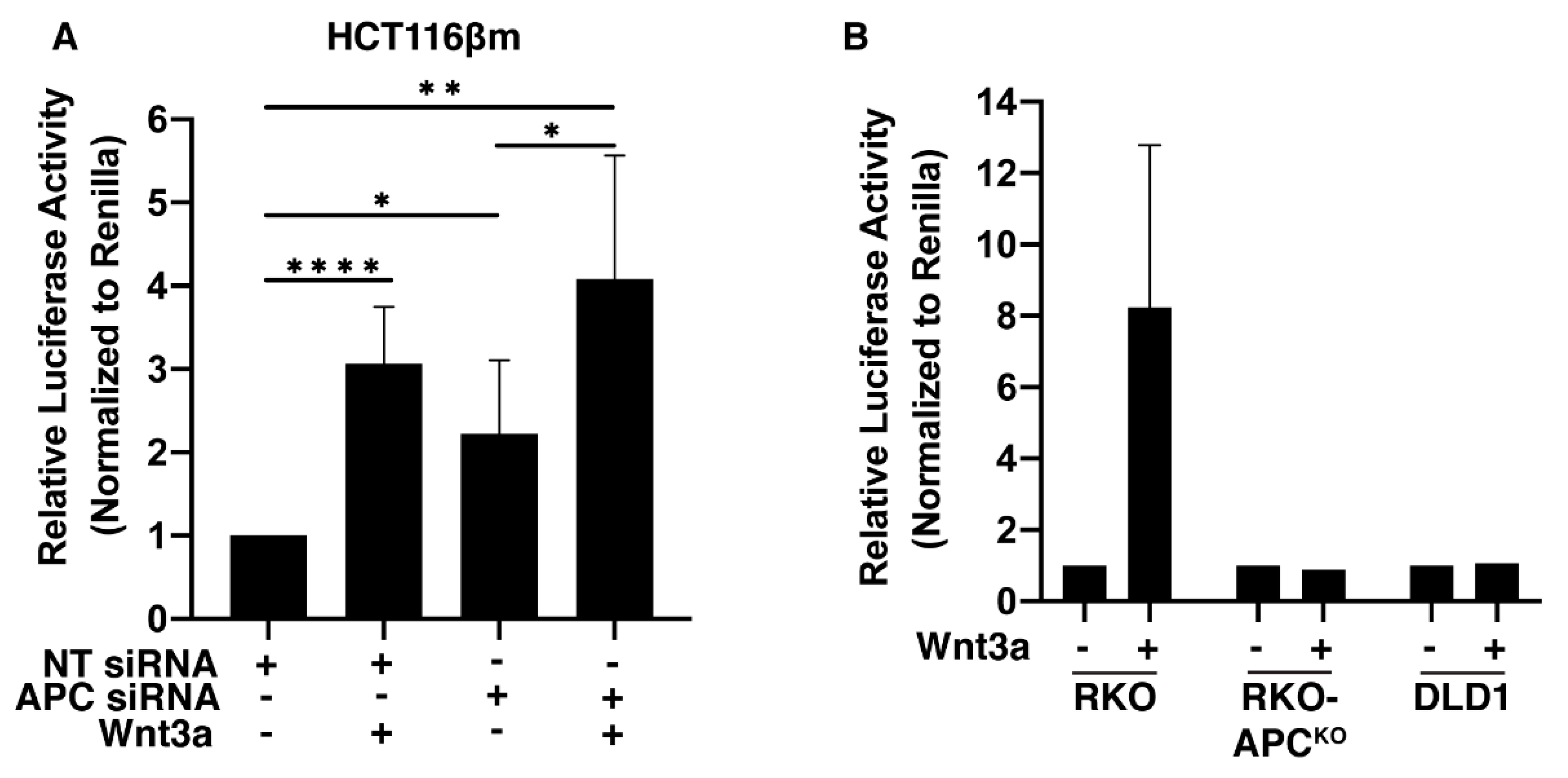 Cancers 12 02114 g004 Cancers 12 02114 g004