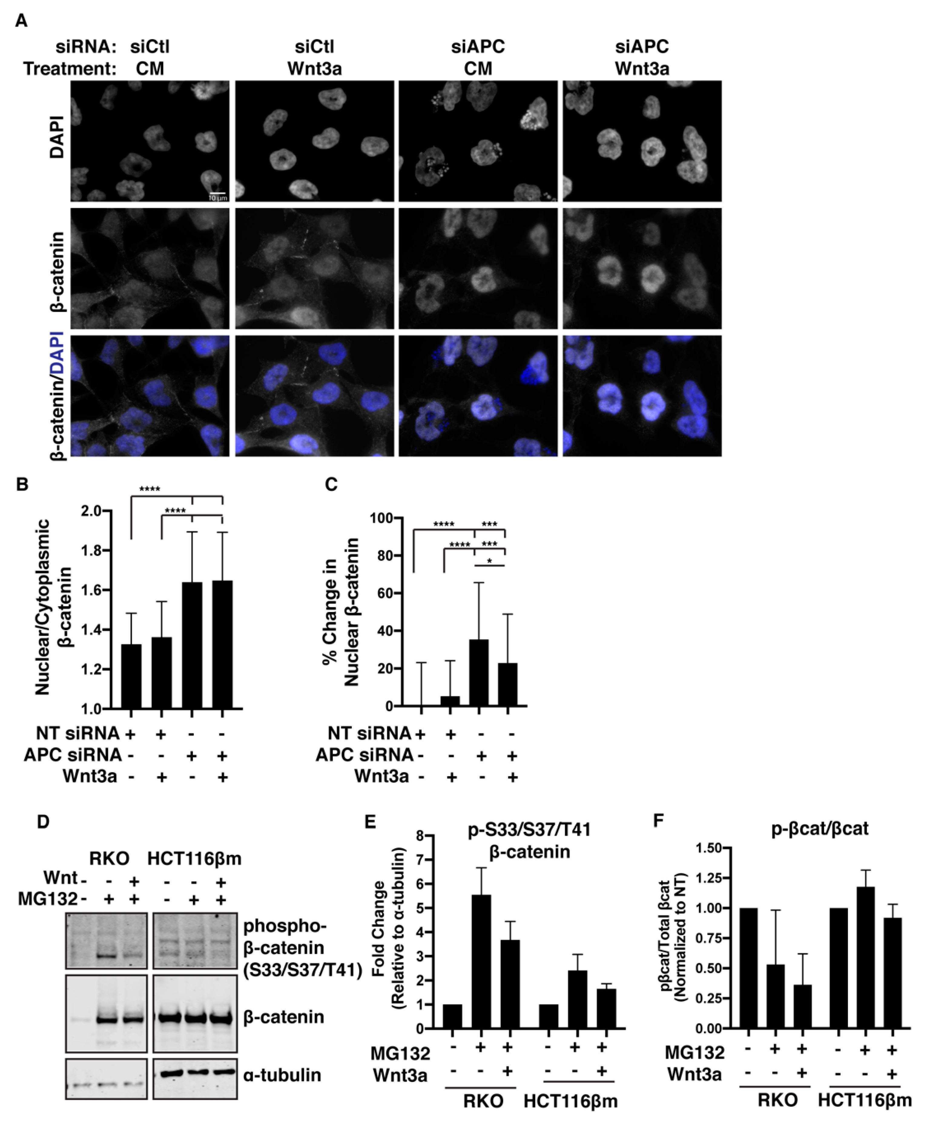 Cancers 12 02114 g005 Cancers 12 02114 g005