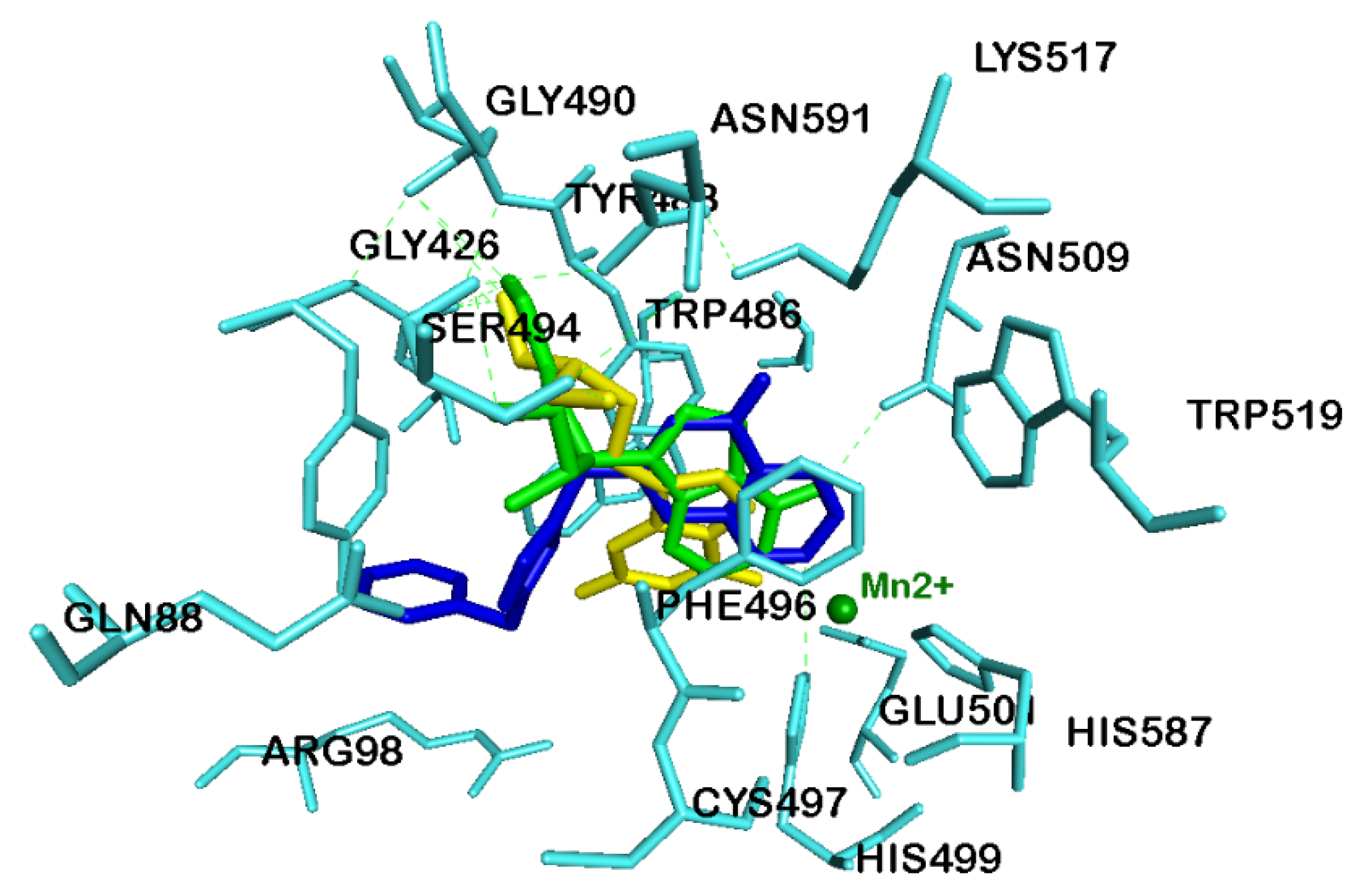 Cancers 12 02121 g007