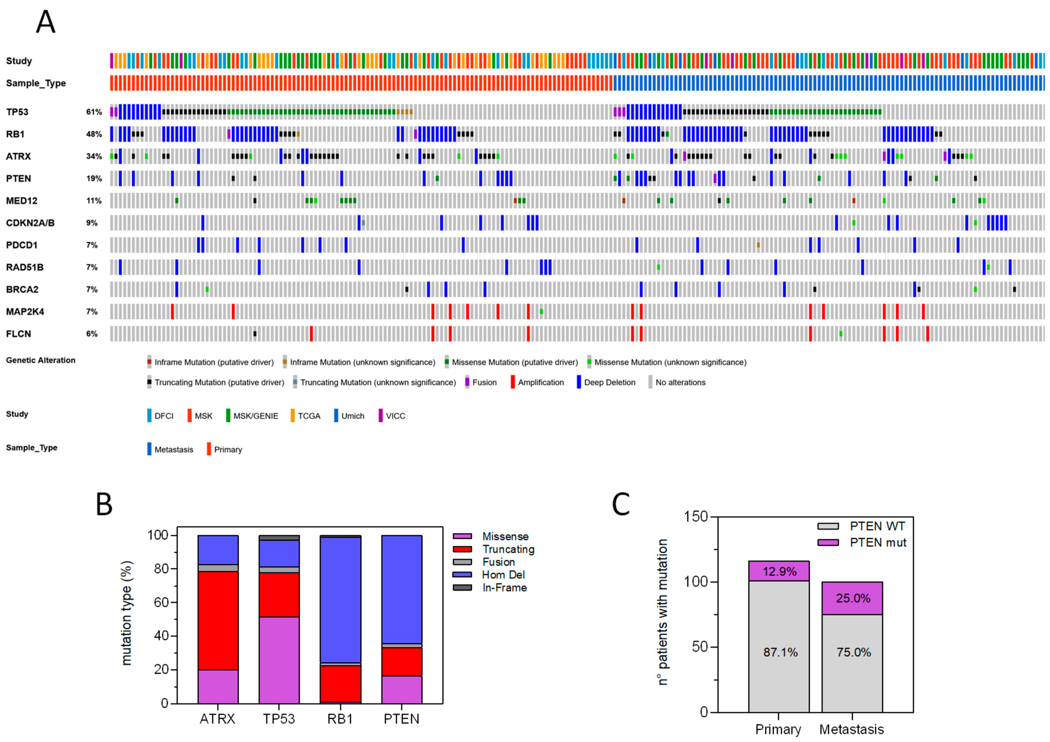 Cancers 12 02126 g002 Cancers 12 02126 g002