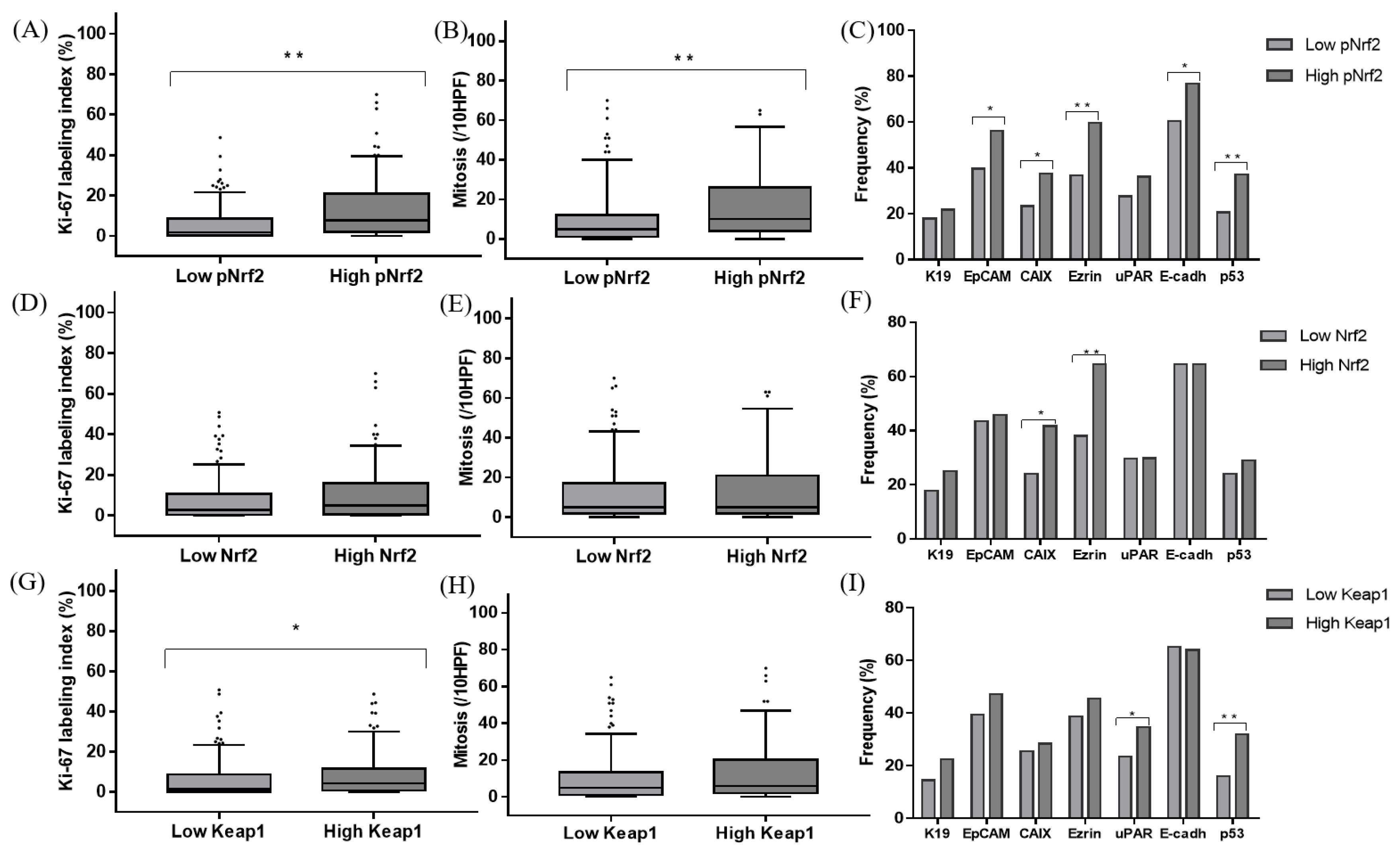 Cancers 12 02128 g002 Cancers 12 02128 g002