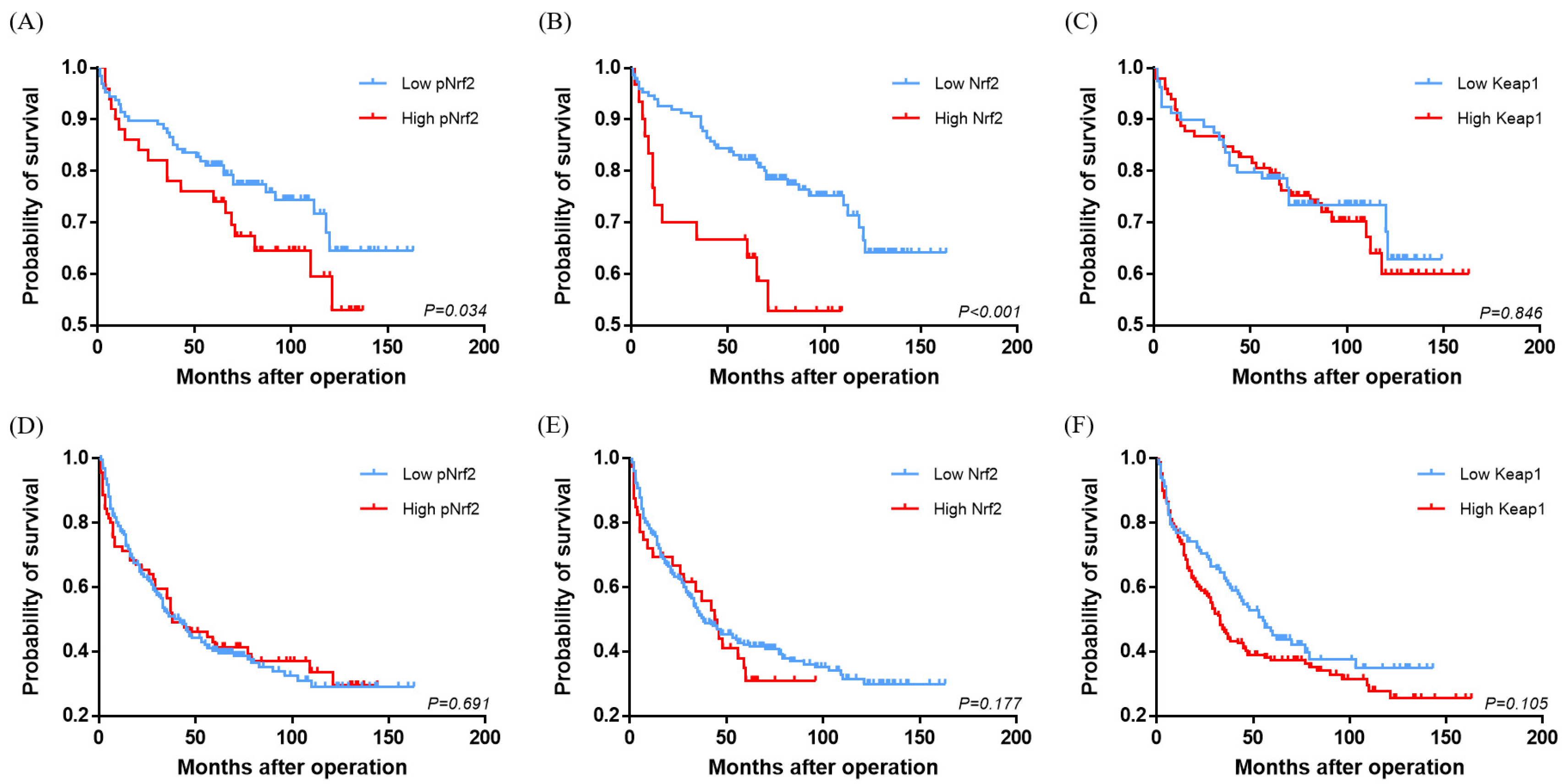 Cancers 12 02128 g003 Cancers 12 02128 g003