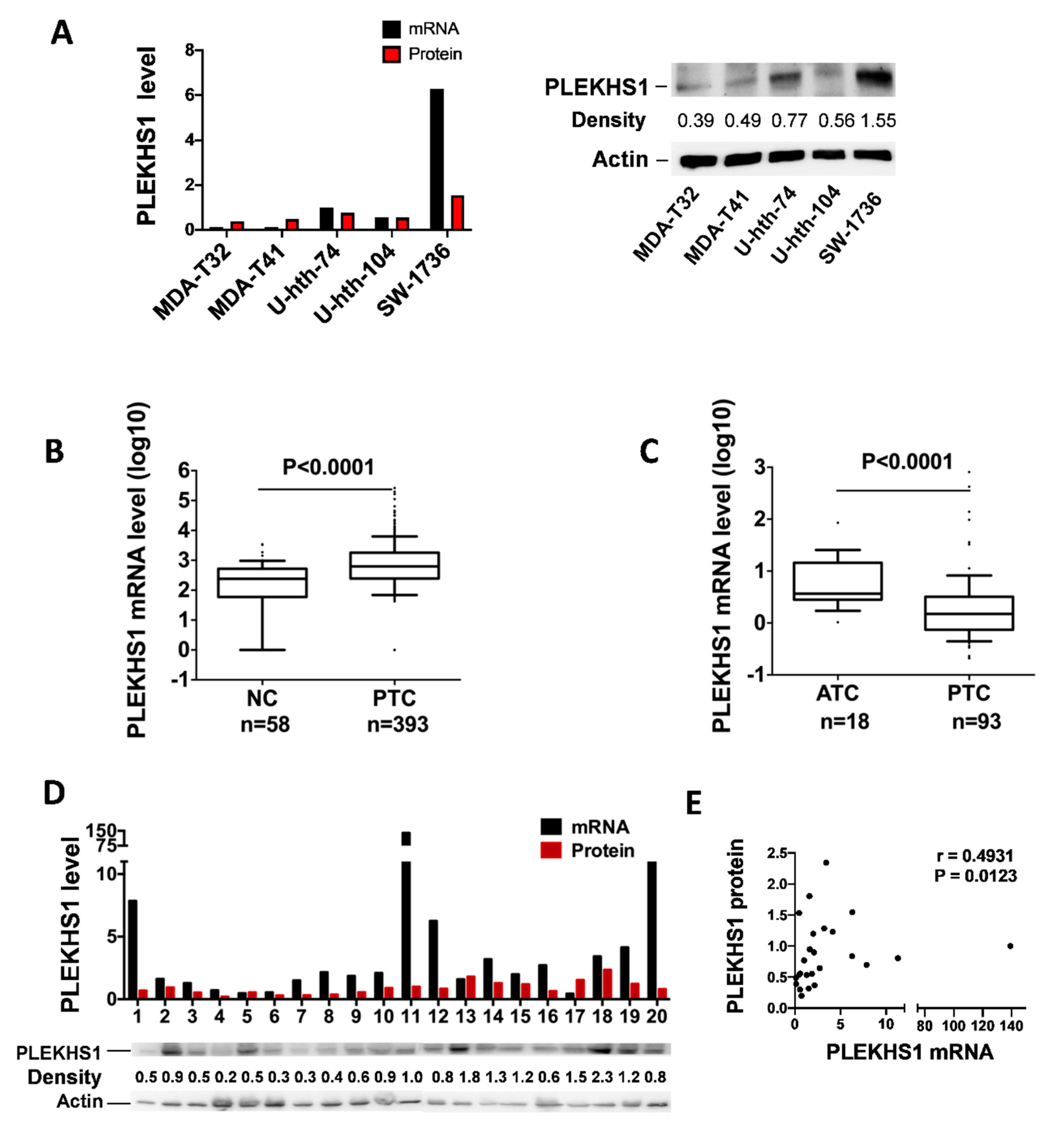 Cancers 12 02133 g002