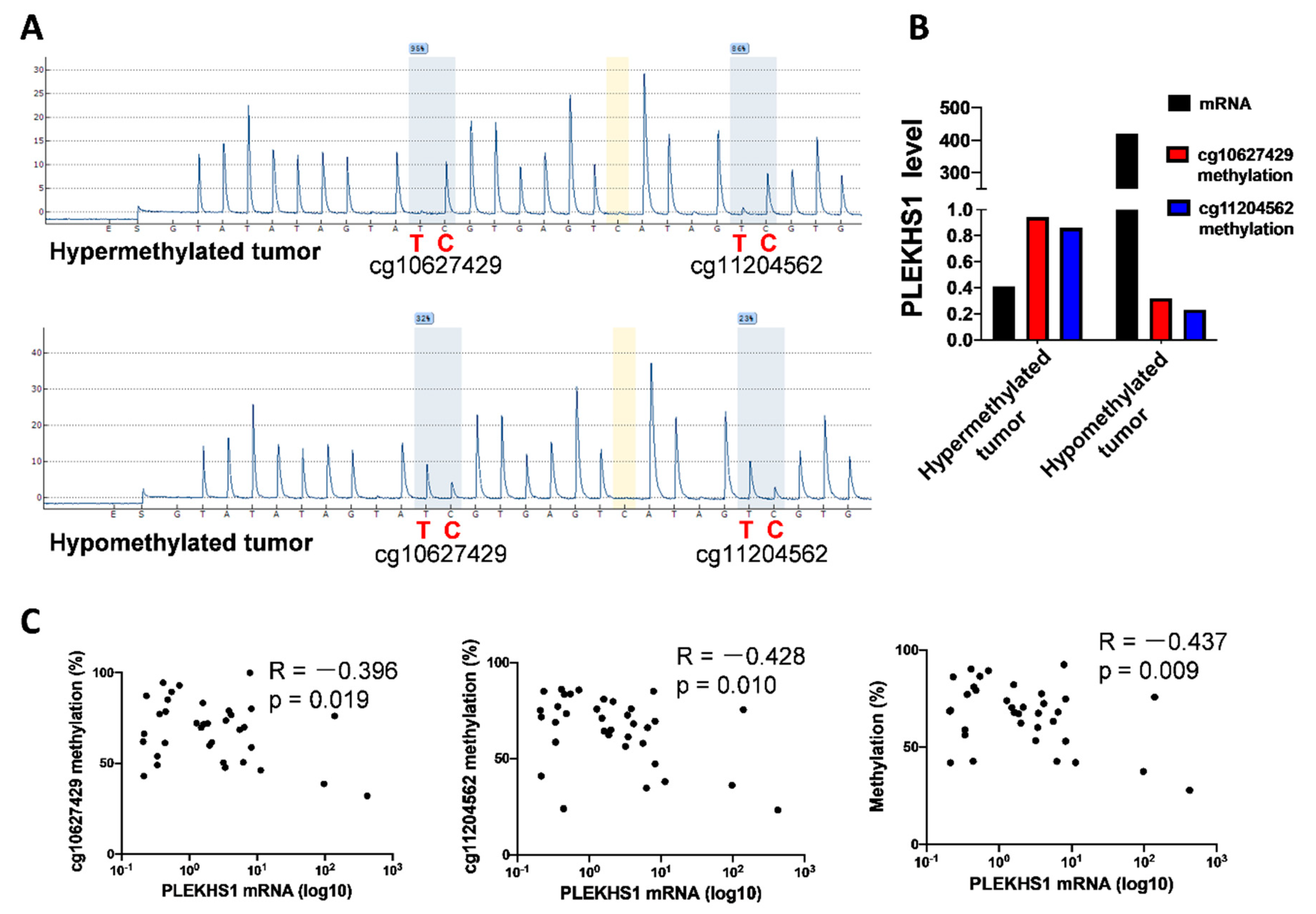 Cancers 12 02133 g006