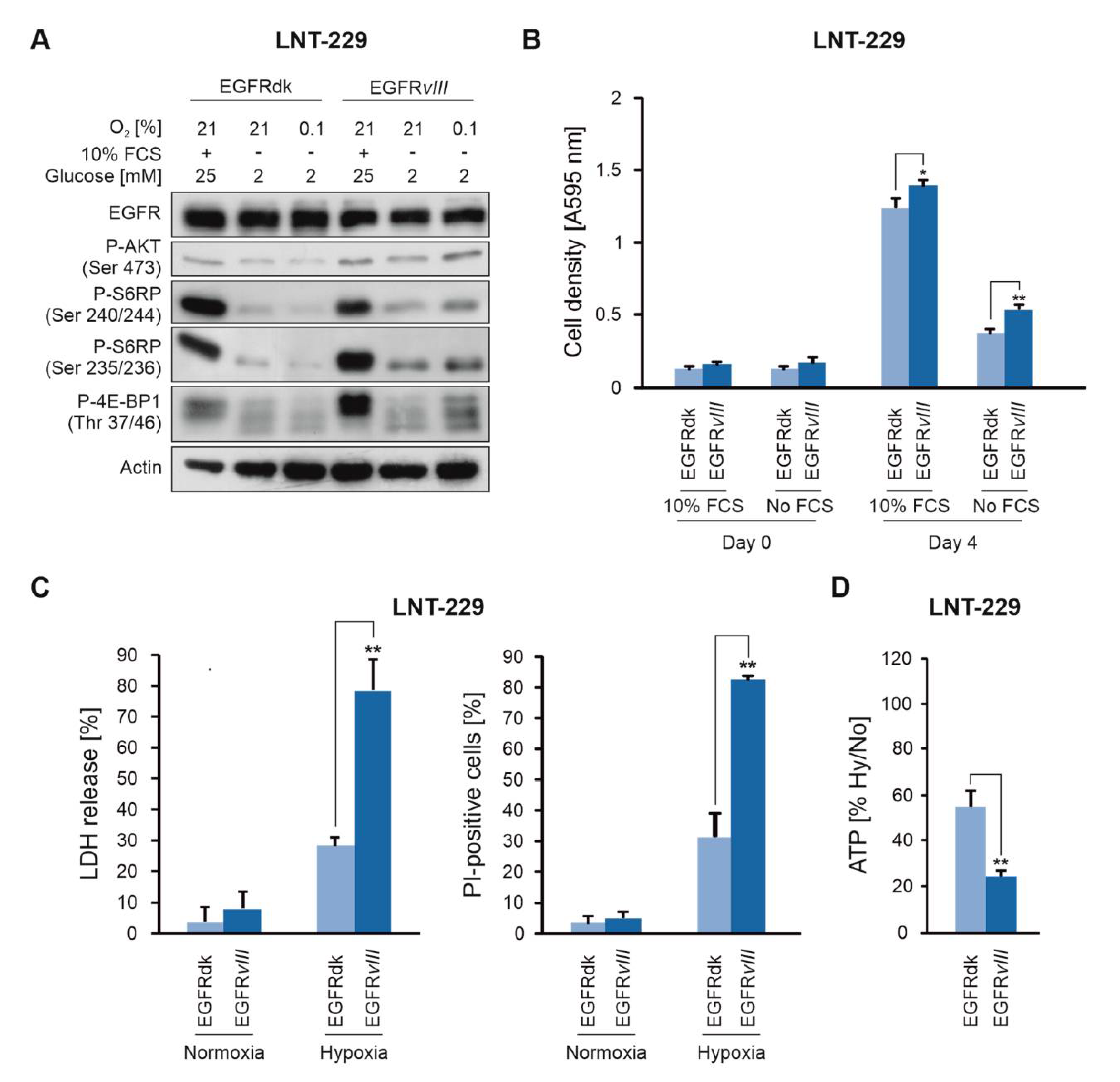 Cancers 12 02144 g001 Cancers 12 02144 g001