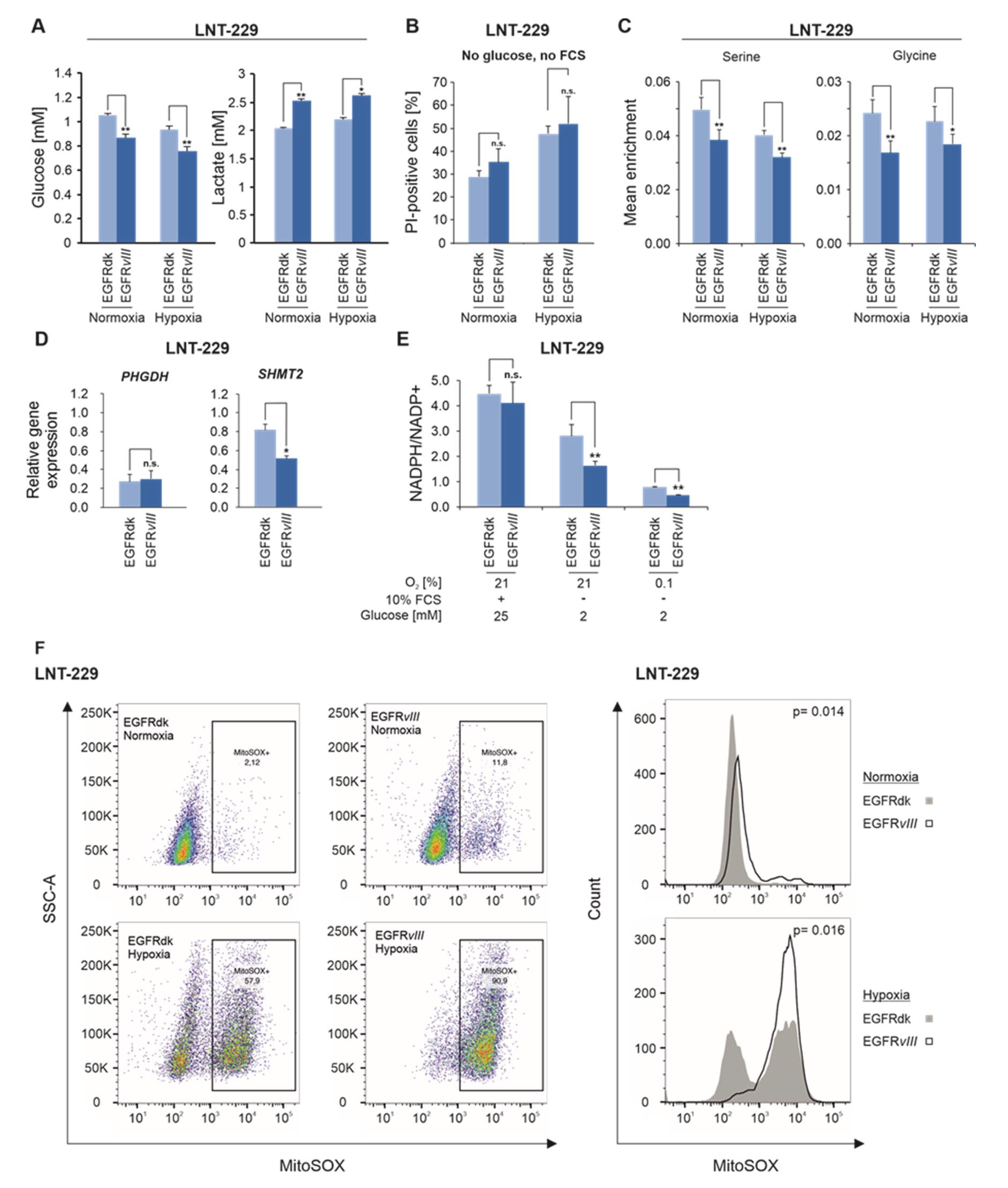 Cancers 12 02144 g002 Cancers 12 02144 g002